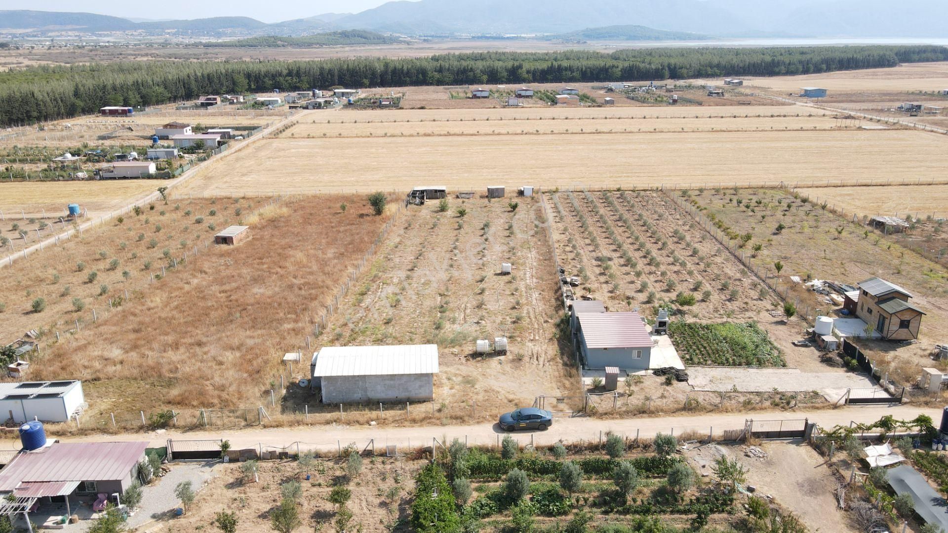 Menderes Develi'de Satılık 2.536 M2 Bahçe Elektrik Su 50 M2 Ev - Görsel 20