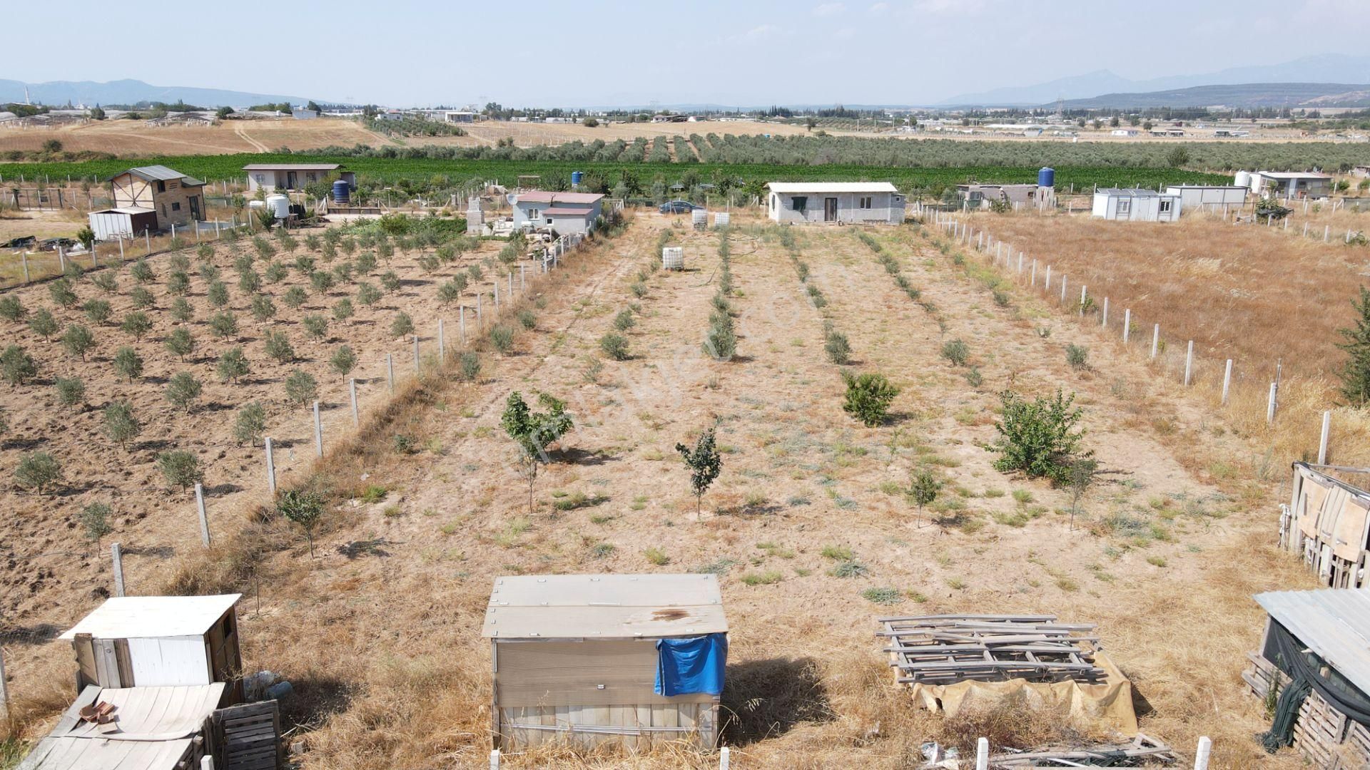 Menderes Develi'de Satılık 2.536 M2 Bahçe Elektrik Su 50 M2 Ev - Görsel 13