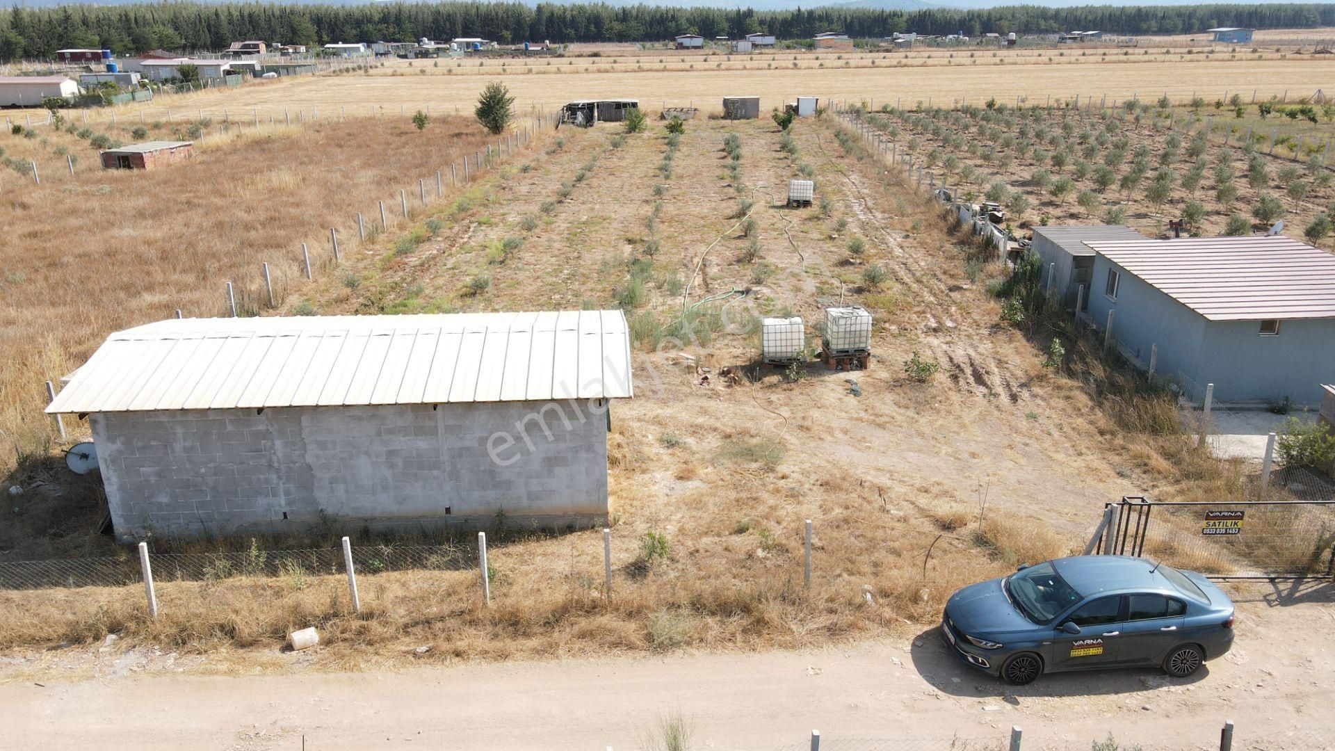 Menderes Develi'de Satılık 2.536 M2 Bahçe Elektrik Su 50 M2 Ev - Görsel 33