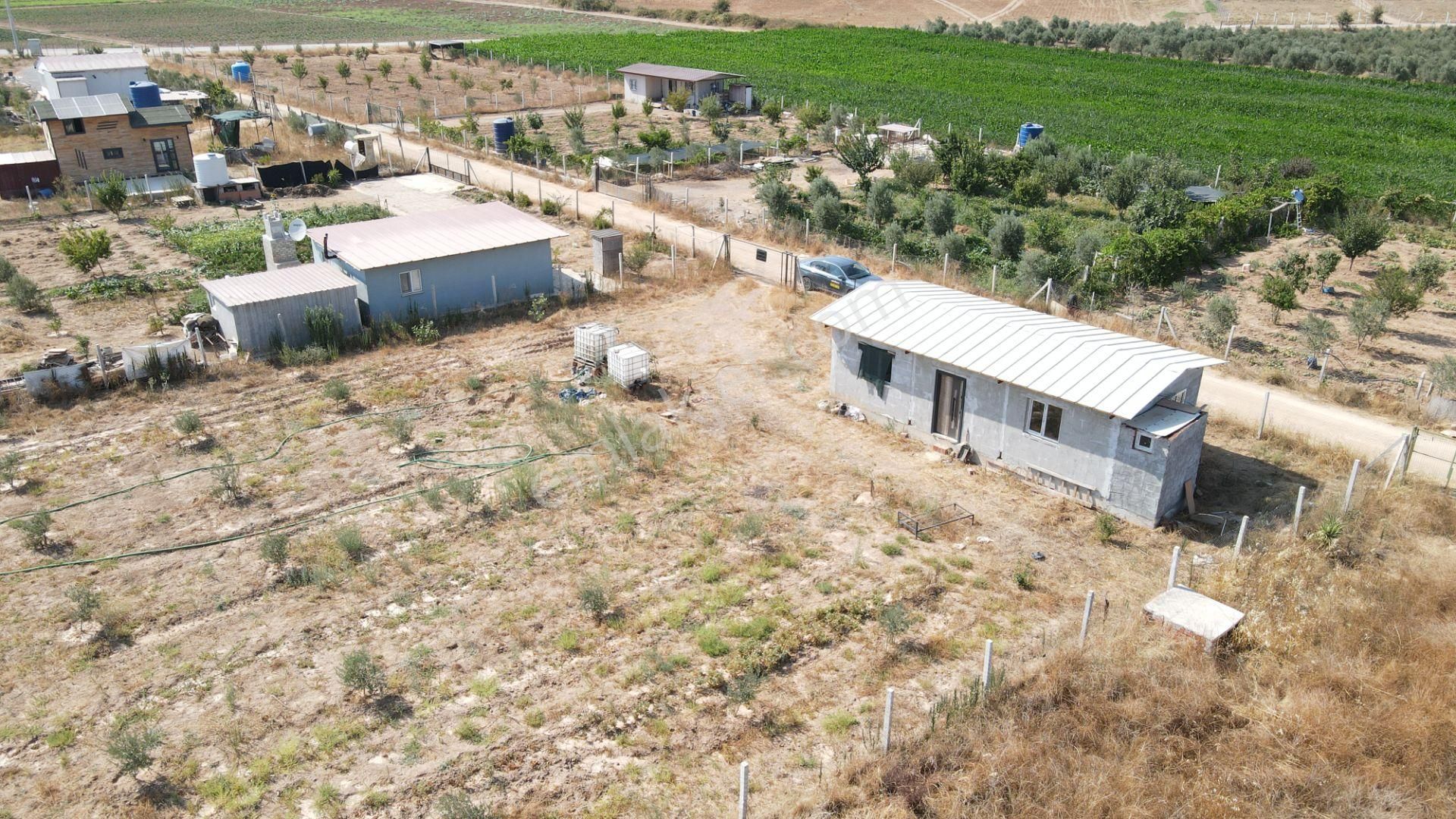 Menderes Develi'de Satılık 2.536 M2 Bahçe Elektrik Su 50 M2 Ev - Görsel 10