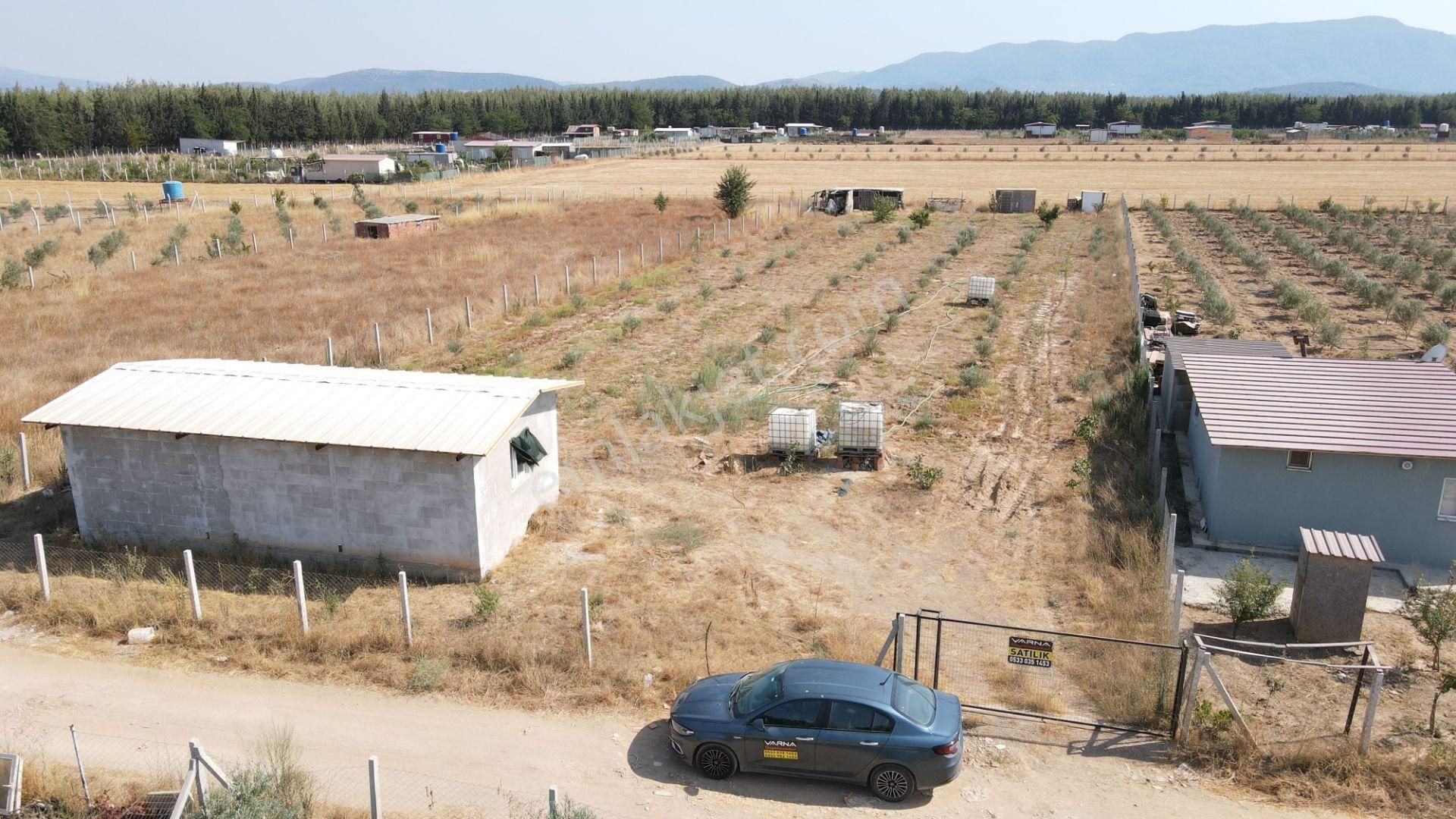 Menderes Develi'de Satılık 2.536 M2 Bahçe Elektrik Su 50 M2 Ev - Görsel 28