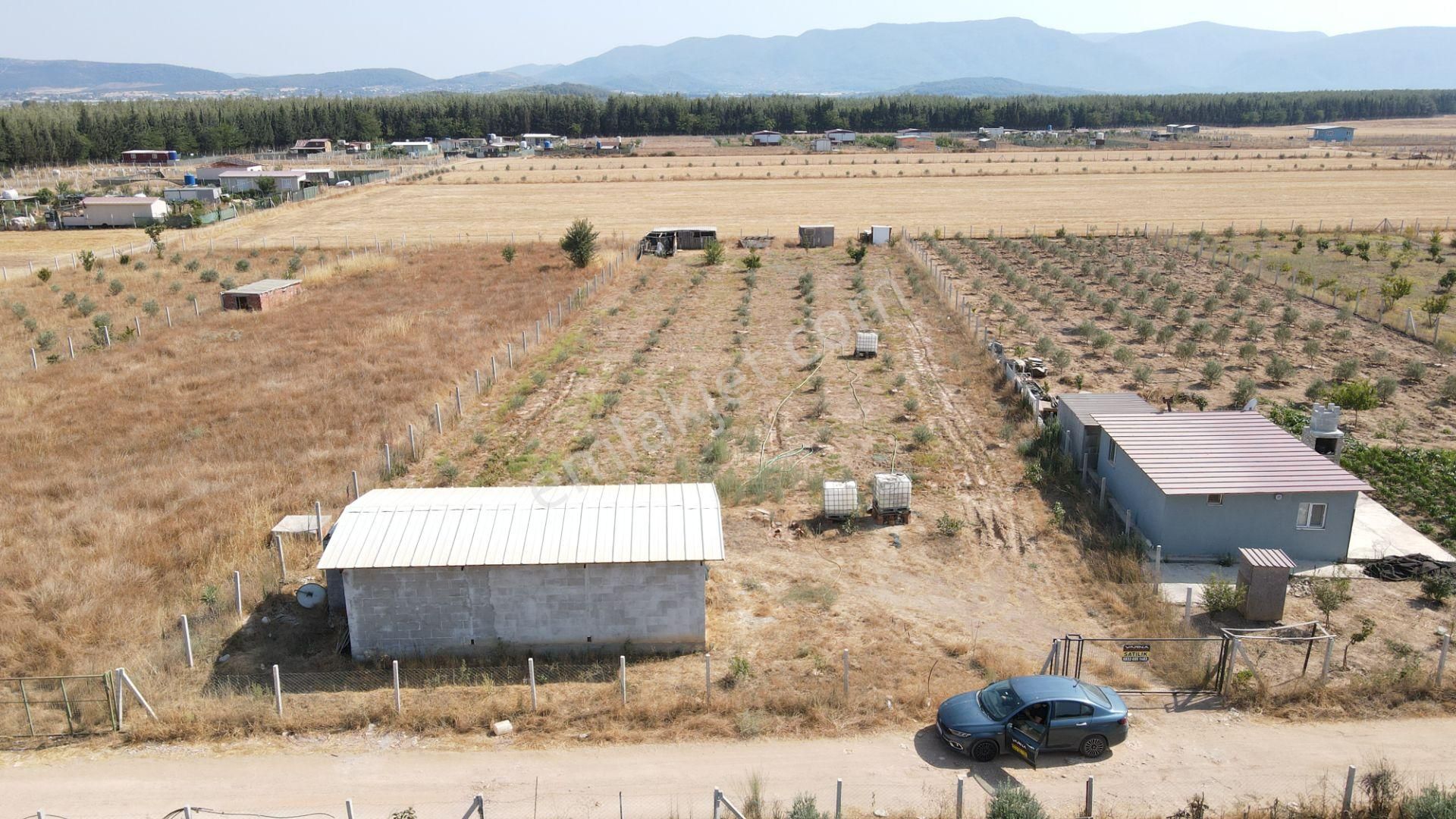 Menderes Develi'de Satılık 2.536 M2 Bahçe Elektrik Su 50 M2 Ev - Görsel 35