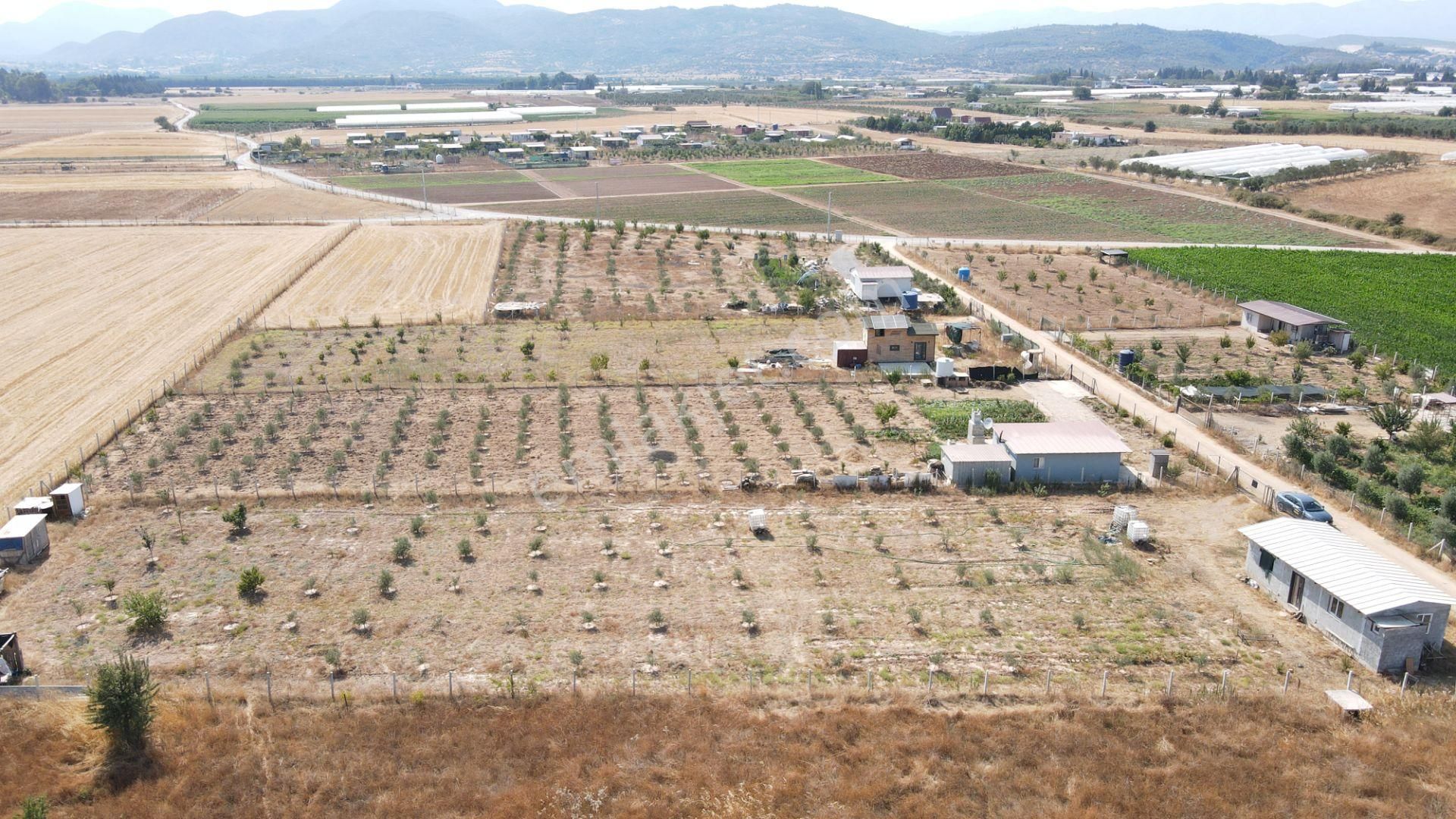 Menderes Develi'de Satılık 2.536 M2 Bahçe Elektrik Su 50 M2 Ev - Görsel 21