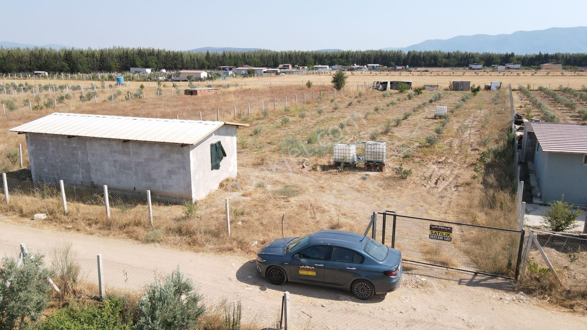 Menderes Develi'de Satılık 2.536 M2 Bahçe Elektrik Su 50 M2 Ev - Görsel 27