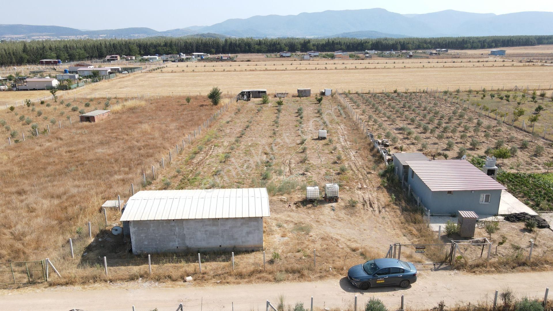 Menderes Develi'de Satılık 2.536 M2 Bahçe Elektrik Su 50 M2 Ev - Görsel 34