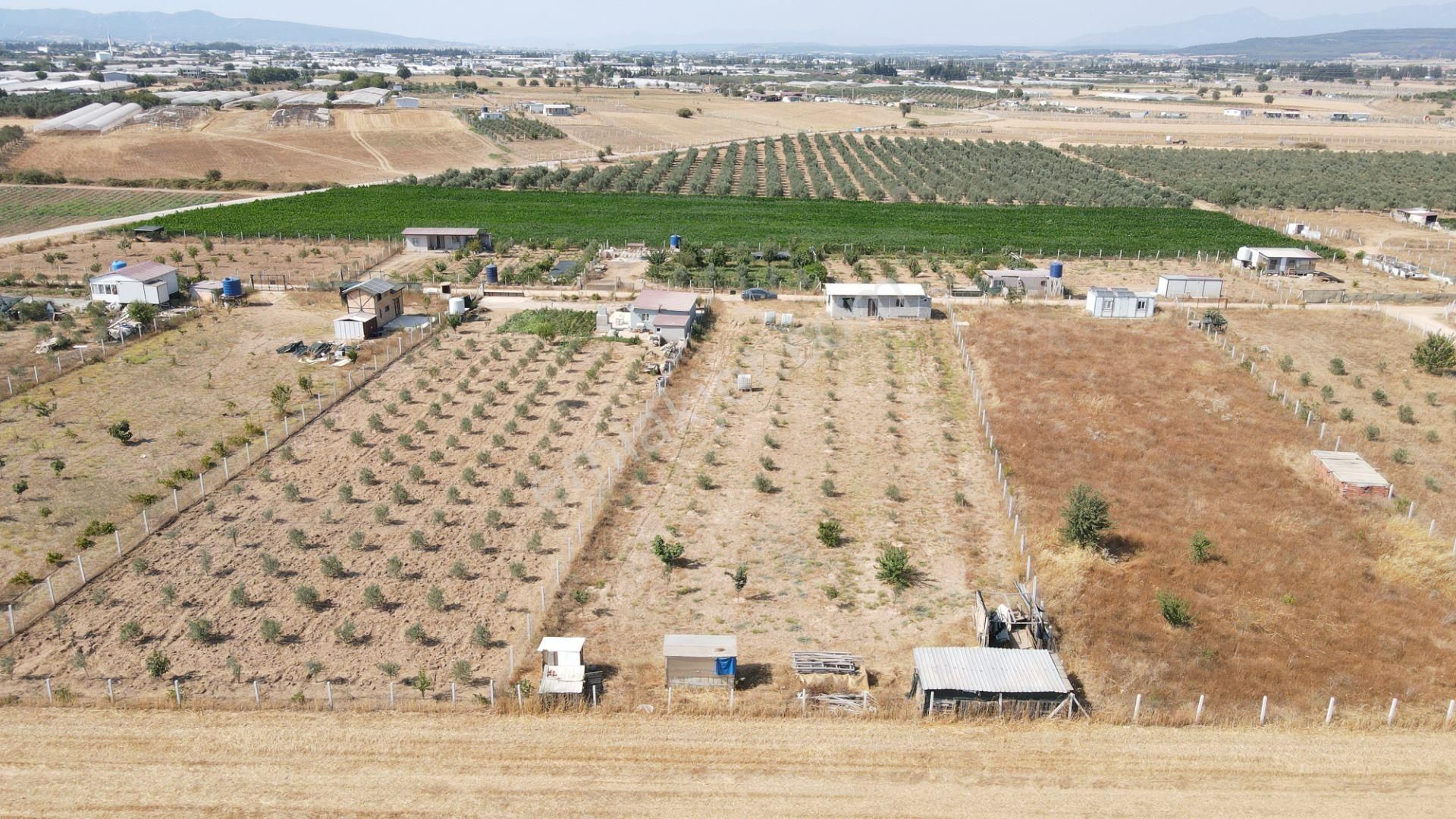 Menderes Develi'de Satılık 2.536 M2 Bahçe Elektrik Su 50 M2 Ev - Görsel 18