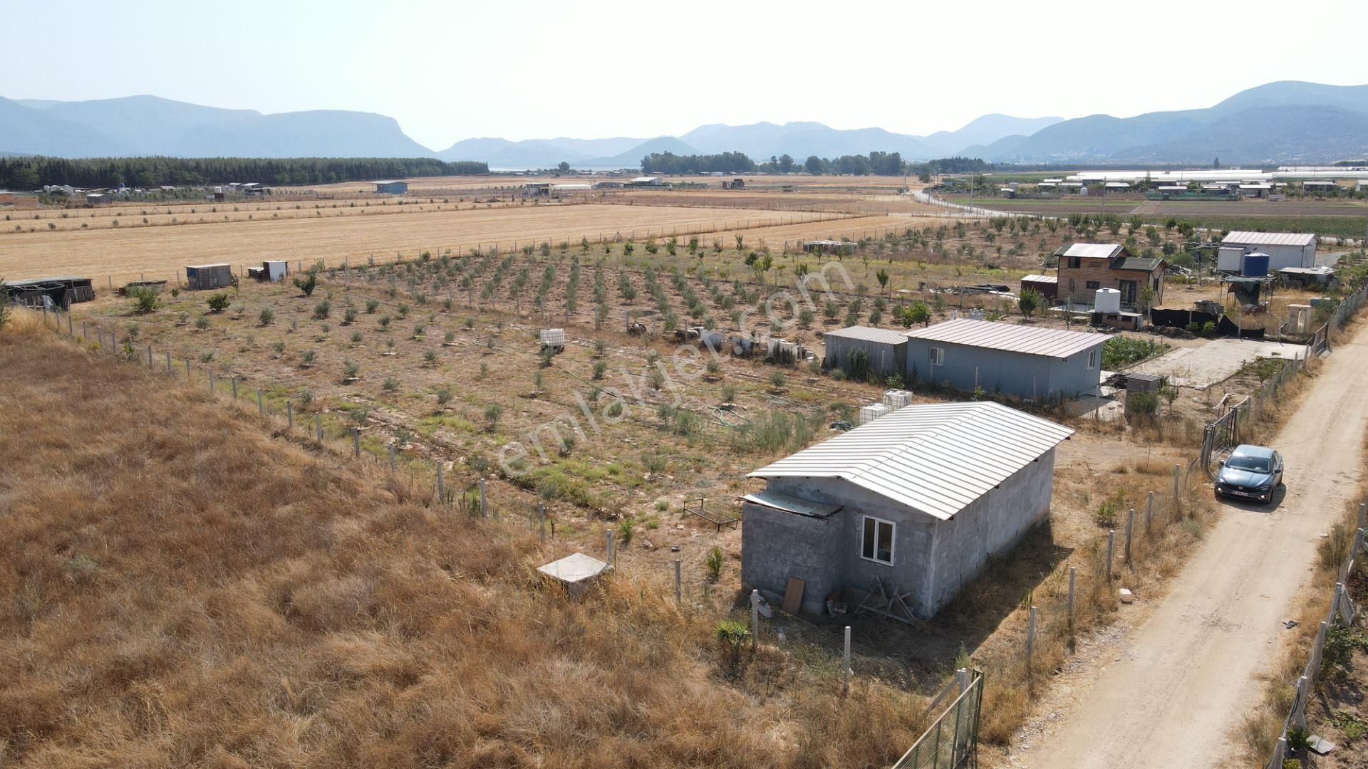 Menderes Develi'de Satılık 2.536 M2 Bahçe Elektrik Su 50 M2 Ev - Görsel 7