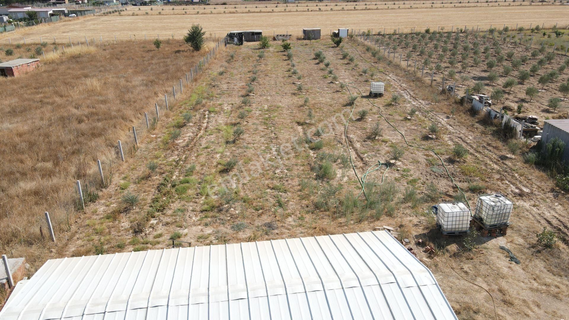 Menderes Develi'de Satılık 2.536 M2 Bahçe Elektrik Su 50 M2 Ev - Görsel 32