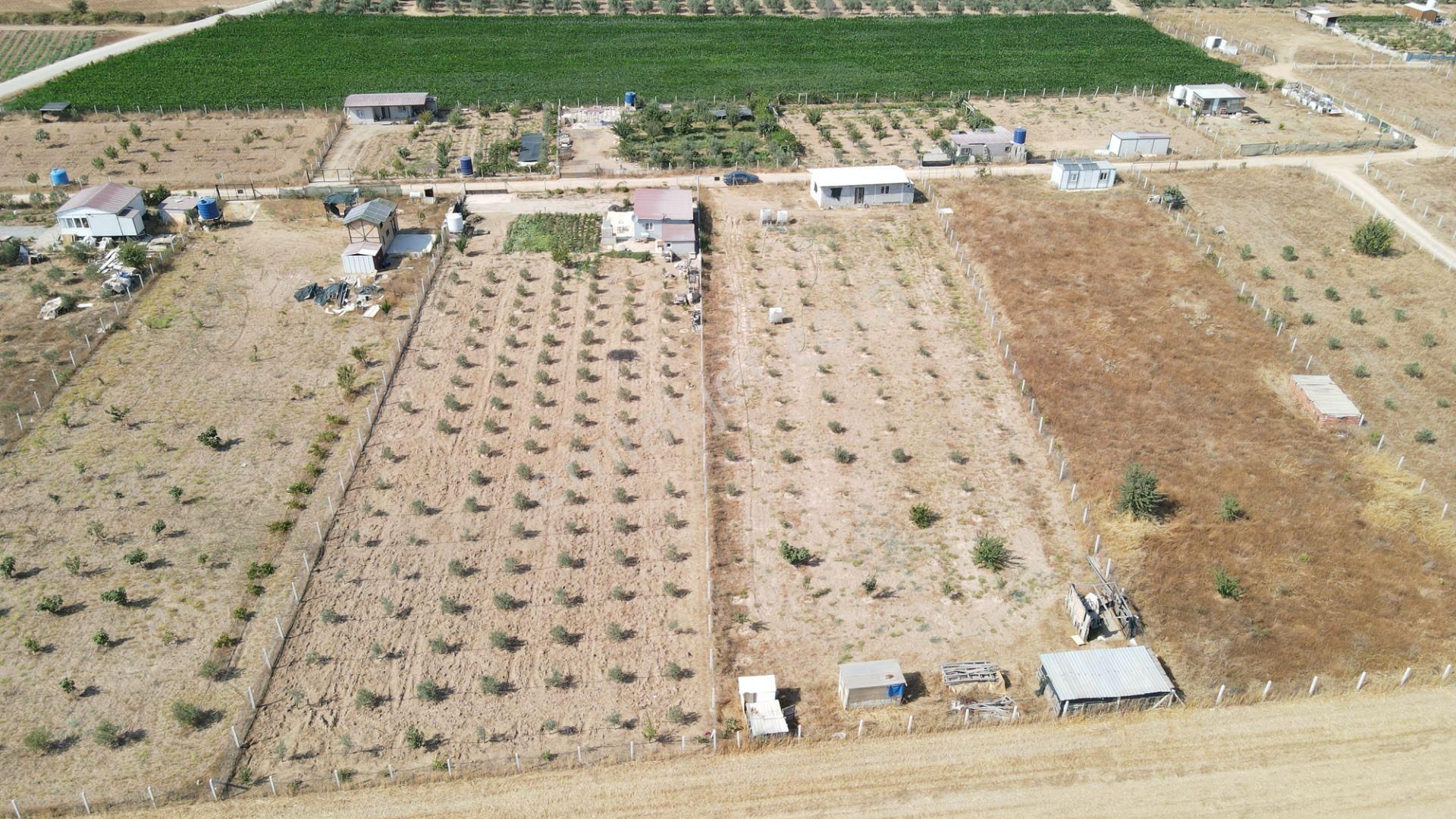 Menderes Develi'de Satılık 2.536 M2 Bahçe Elektrik Su 50 M2 Ev - Görsel 22