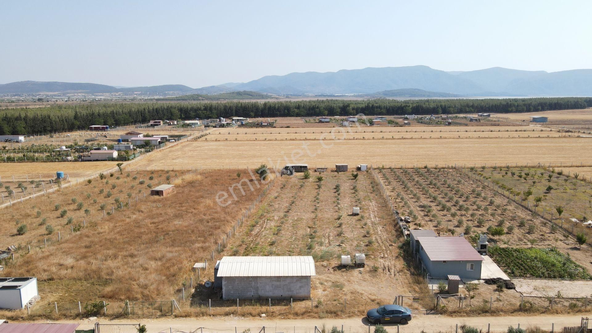 Menderes Develi'de Satılık 2.536 M2 Bahçe Elektrik Su 50 M2 Ev - Görsel 4