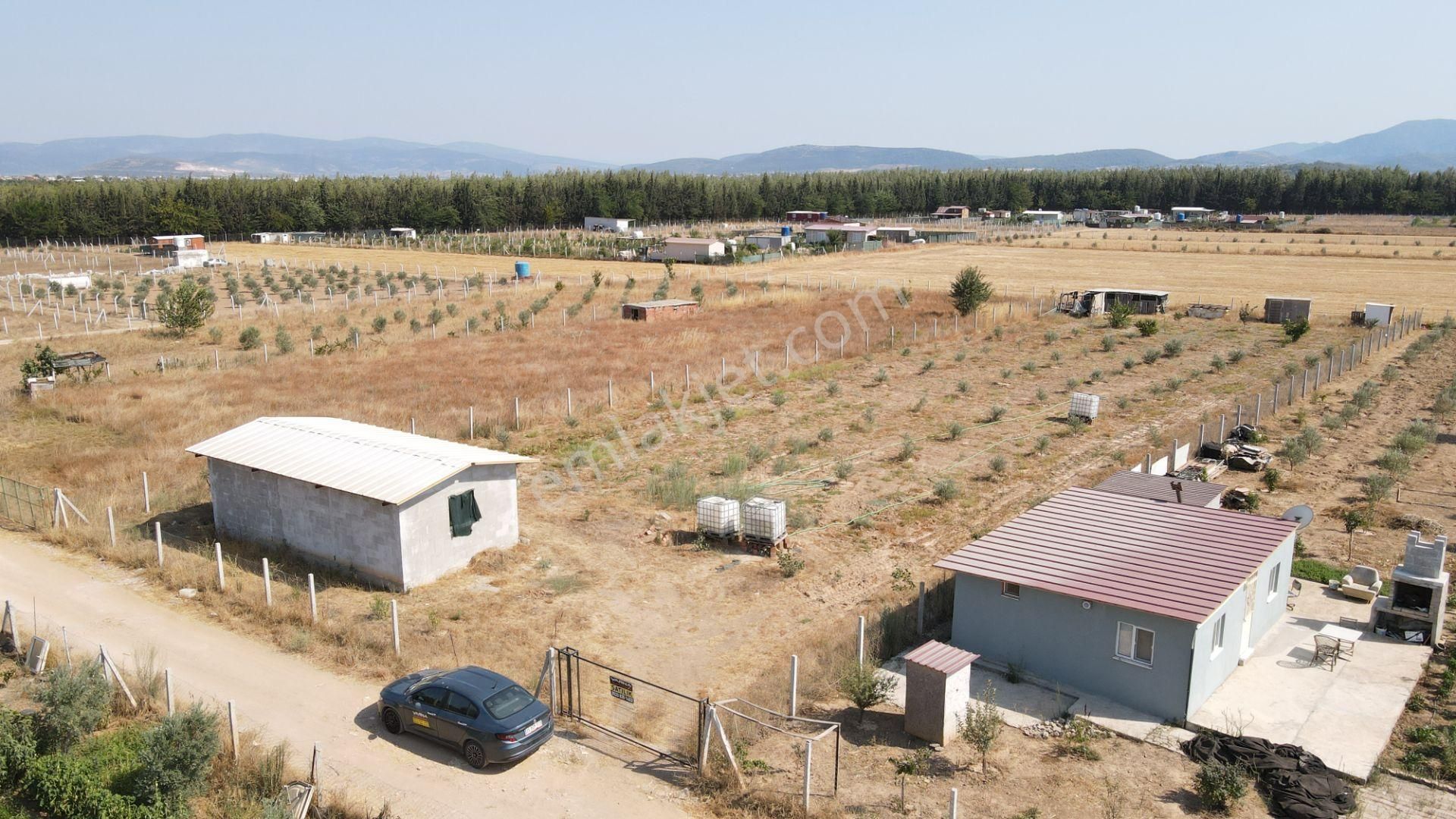 Menderes Develi'de Satılık 2.536 M2 Bahçe Elektrik Su 50 M2 Ev - Görsel 5