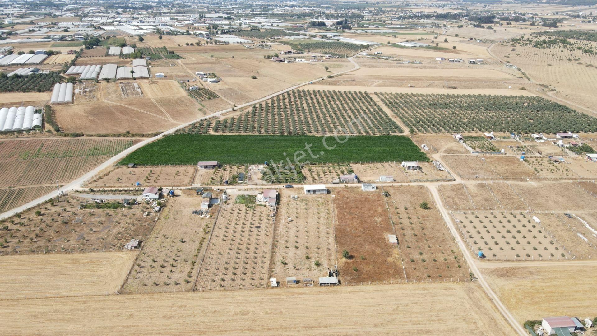 Menderes Develi'de Satılık 2.536 M2 Bahçe Elektrik Su 50 M2 Ev - Görsel 16