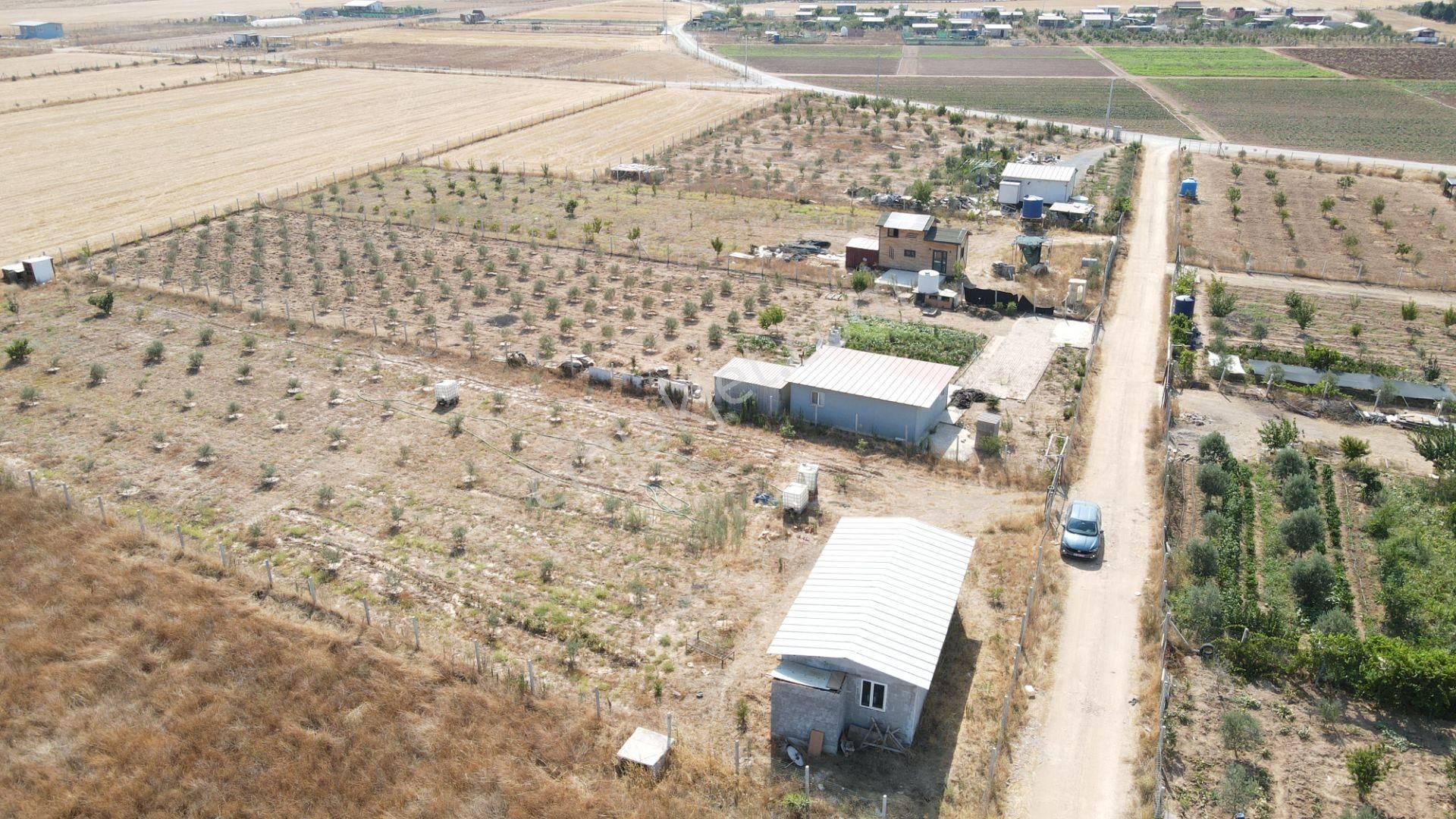 Menderes Develi'de Satılık 2.536 M2 Bahçe Elektrik Su 50 M2 Ev - Görsel 30