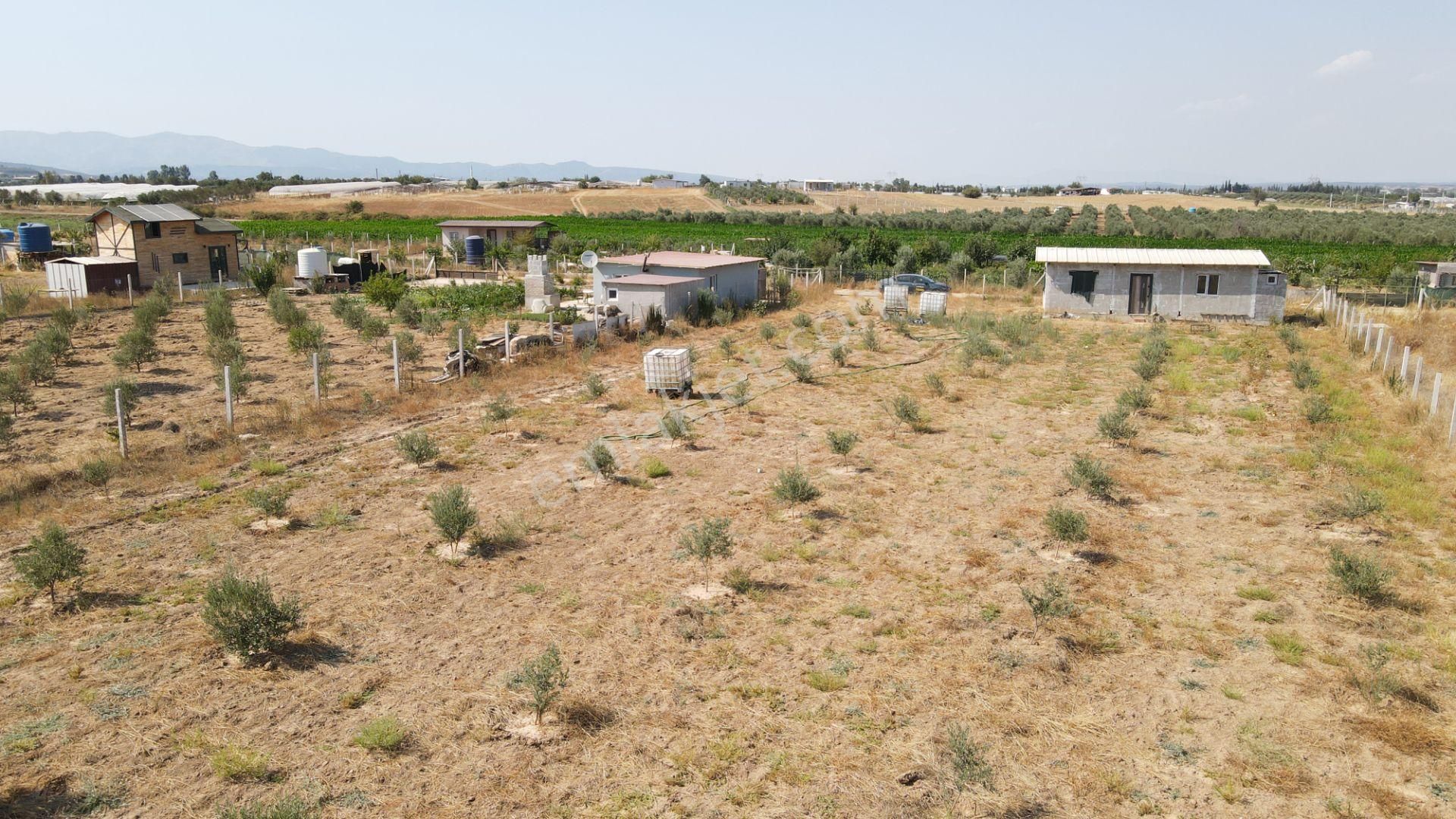 Menderes Develi'de Satılık 2.536 M2 Bahçe Elektrik Su 50 M2 Ev - Görsel 24