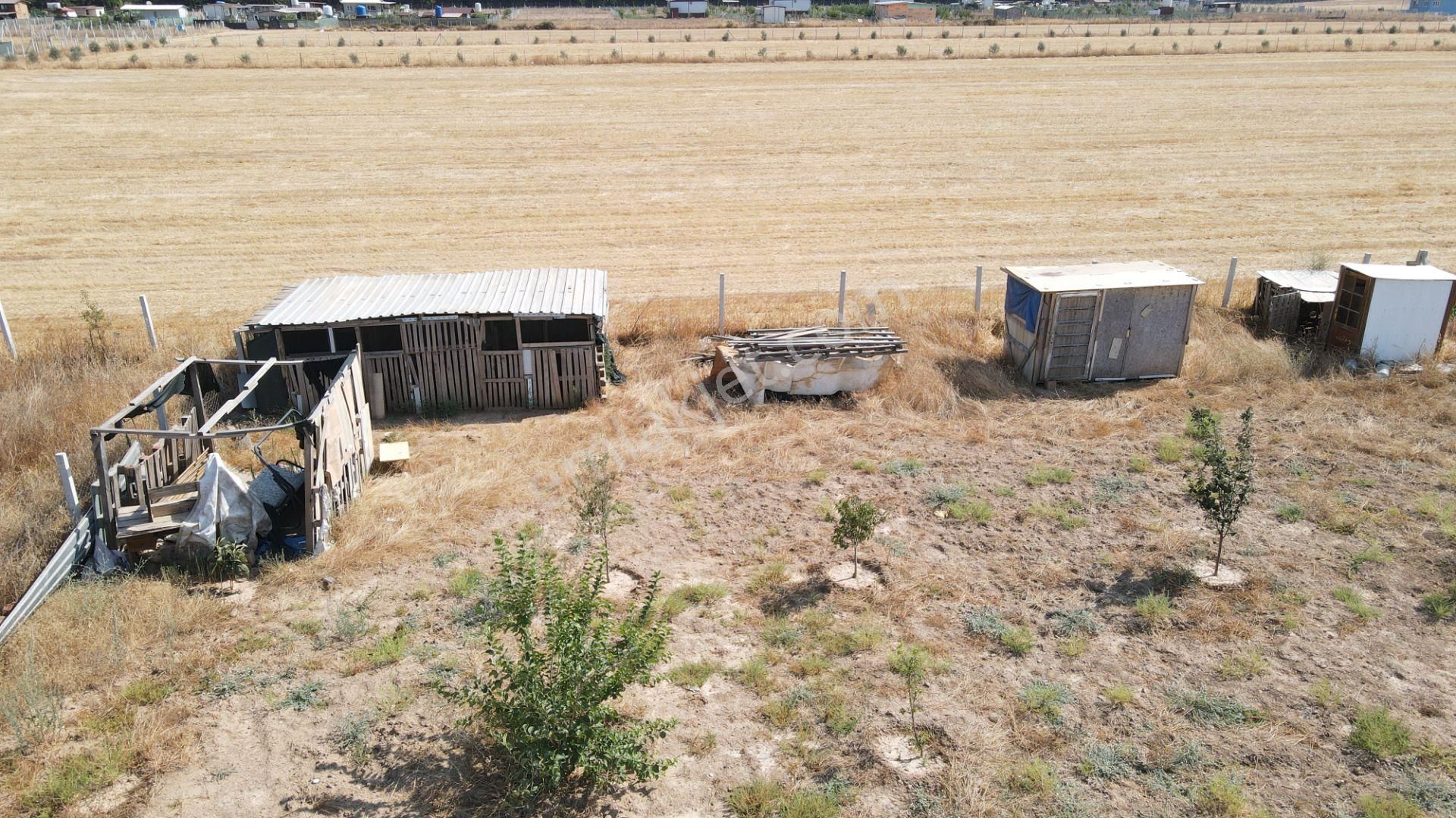 Menderes Develi'de Satılık 2.536 M2 Bahçe Elektrik Su 50 M2 Ev - Görsel 12