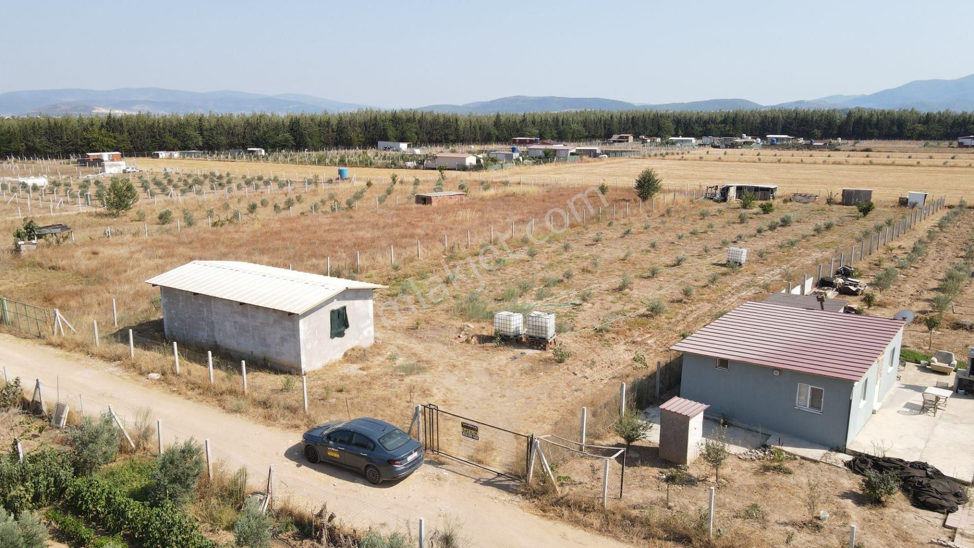 Menderes Develi'de Satılık 2.536 M2 Bahçe Elektrik Su 50 M2 Ev - Görsel 6