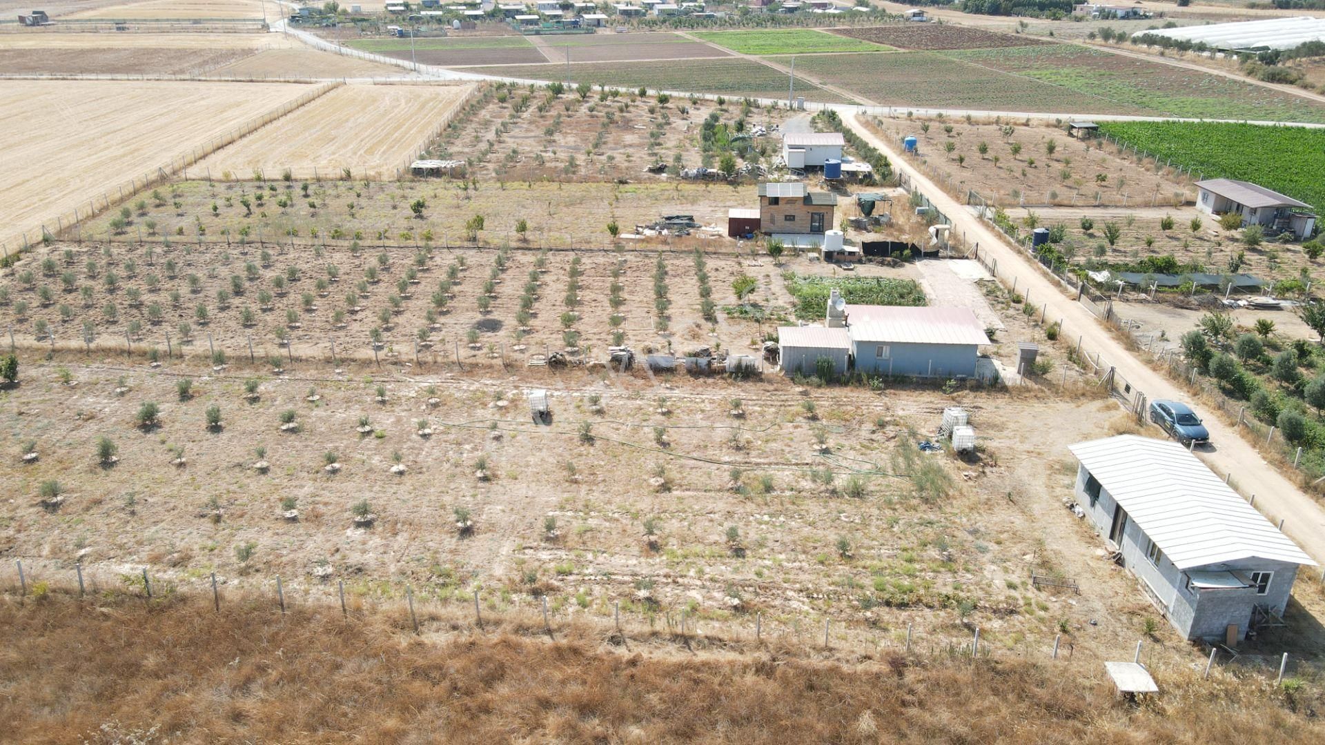 Menderes Develi'de Satılık 2.536 M2 Bahçe Elektrik Su 50 M2 Ev - Görsel 9