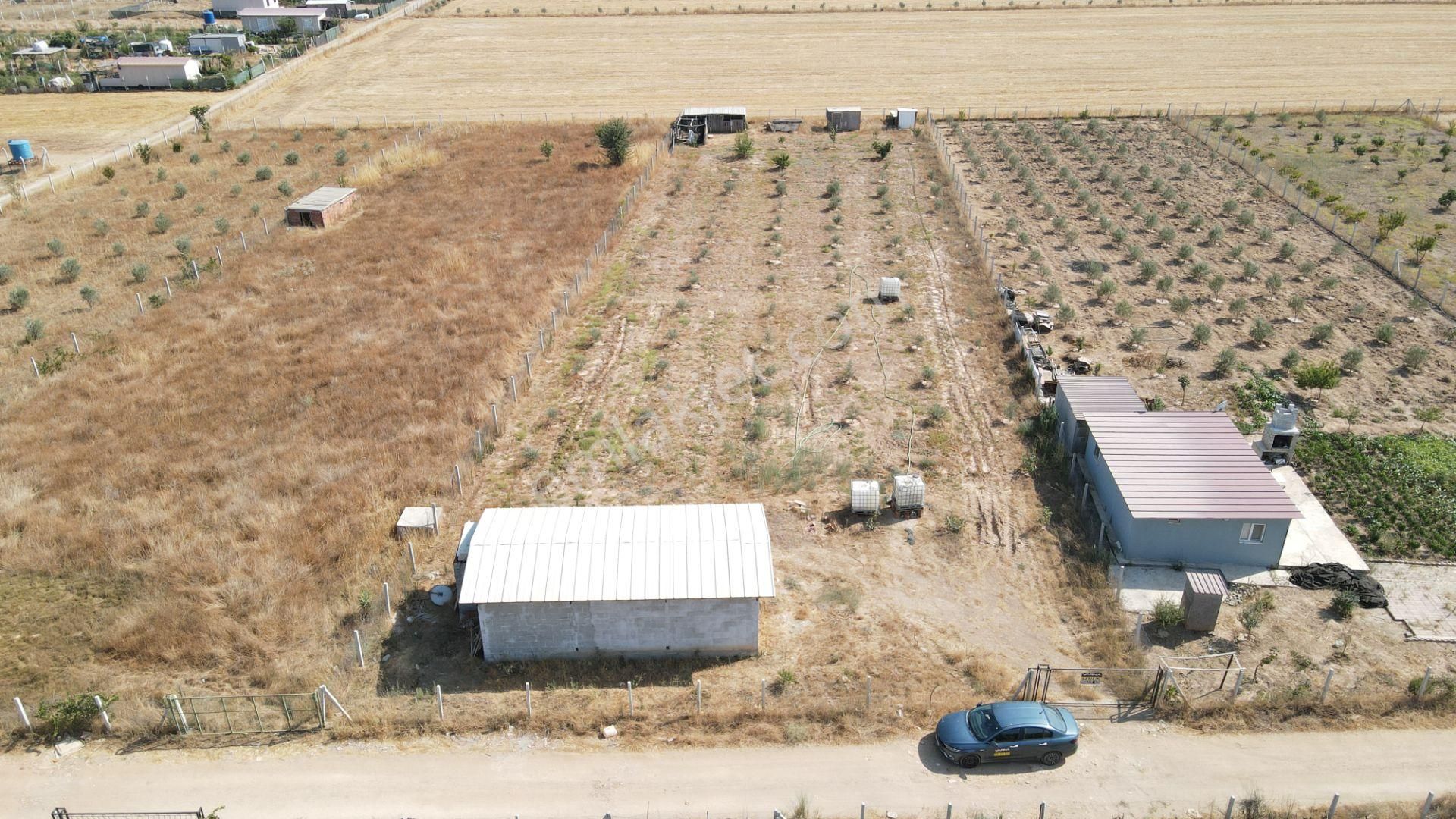 Menderes Develi'de Satılık 2.536 M2 Bahçe Elektrik Su 50 M2 Ev - Görsel 29