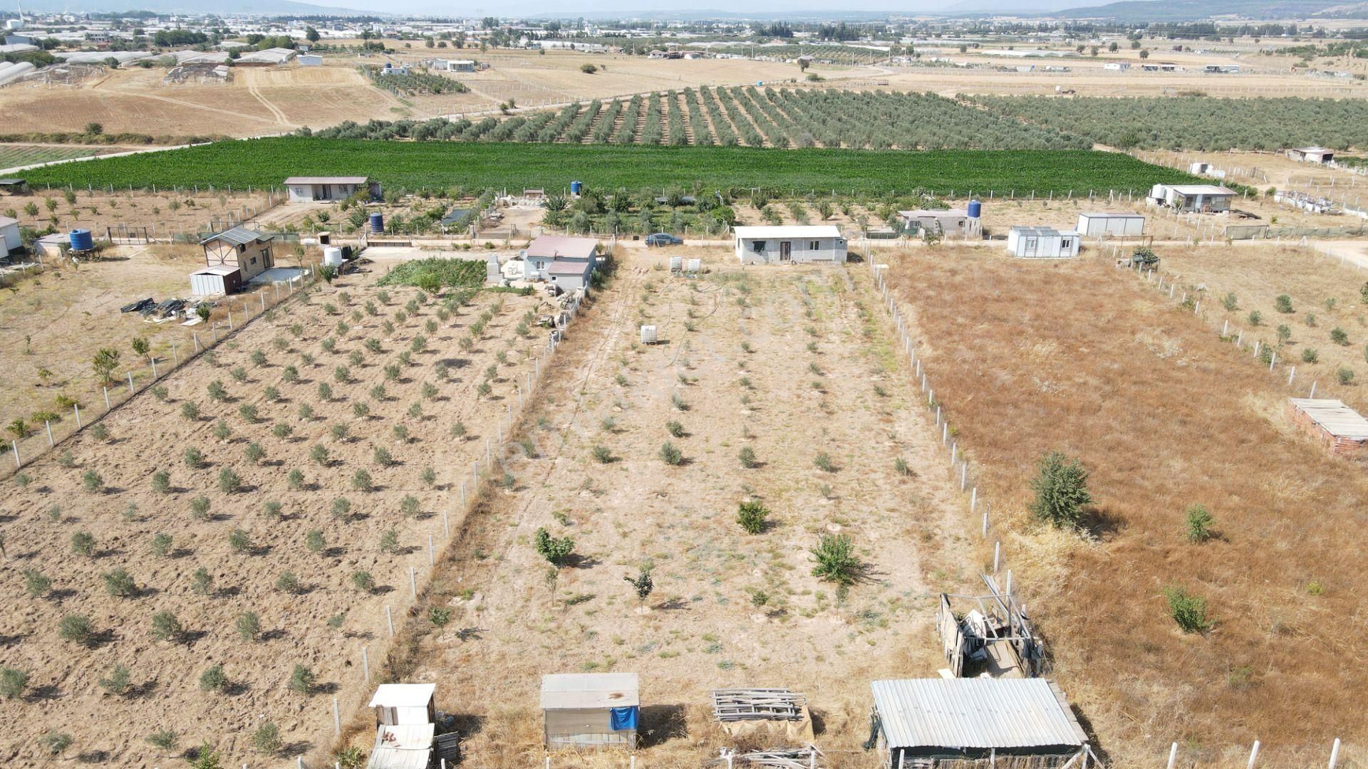 Menderes Develi'de Satılık 2.536 M2 Bahçe Elektrik Su 50 M2 Ev - Görsel 14