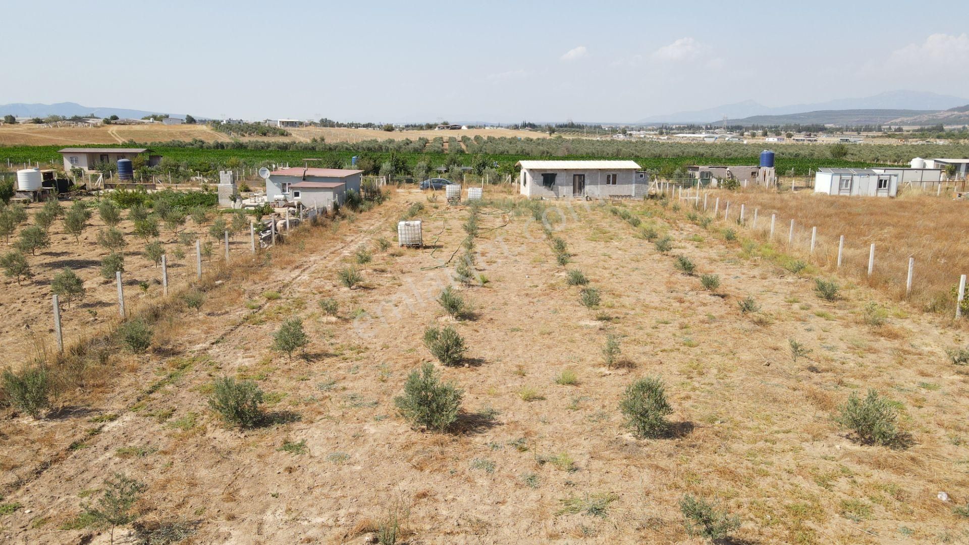 Menderes Develi'de Satılık 2.536 M2 Bahçe Elektrik Su 50 M2 Ev - Görsel 23