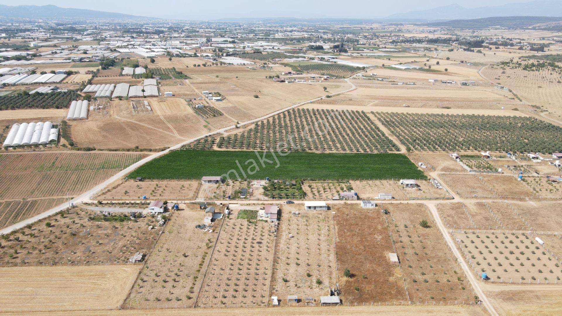 Menderes Develi'de Satılık 2.536 M2 Bahçe Elektrik Su 50 M2 Ev - Görsel 15