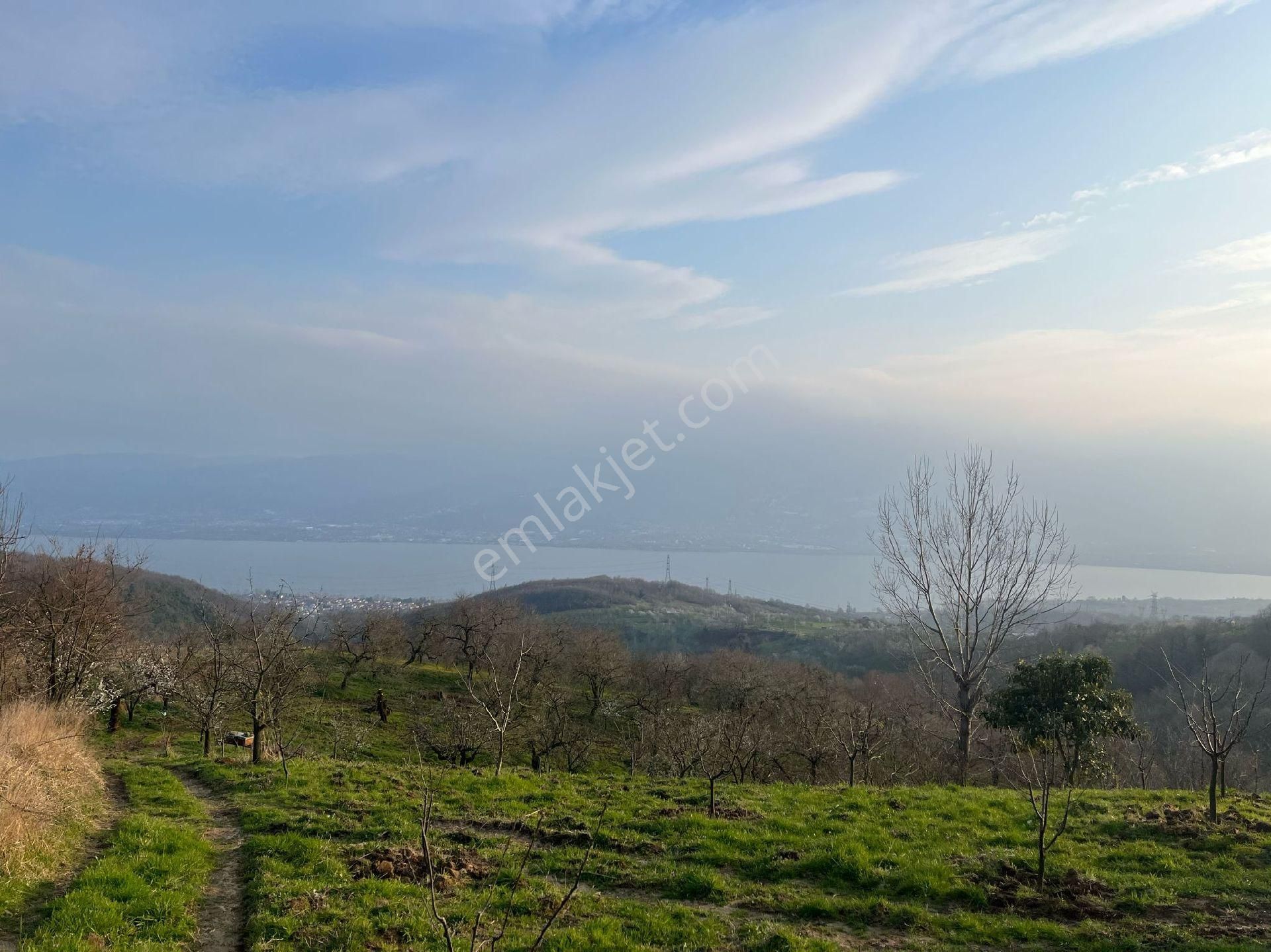 Kartepe Eşme Satılık Bağ & Bahçe Göl manzaralı premium bahçe acil satılık sahibinden 