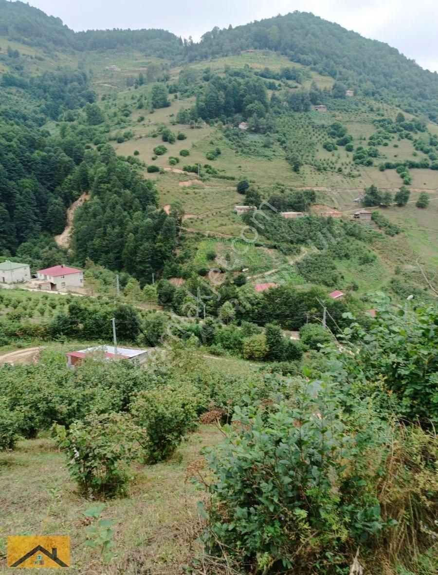 Bulancak Aydındere Bld. (Derecikalan) Satılık Konut İmarlı KÖY İÇİ FINDIKLIK VE EV YERİ ELEKTİRİK SU MEVCUT