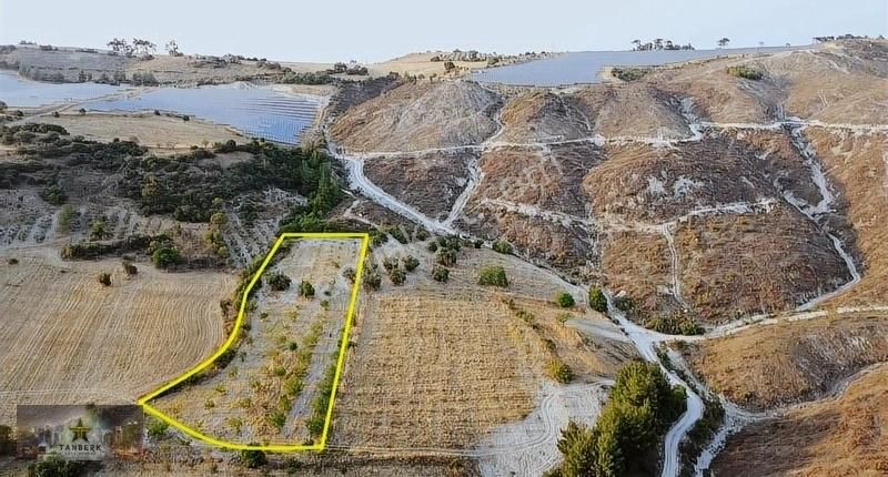 Kınık Arpaseki Satılık Tarla TANBERK DEN SATILIK CEVİZLİK ARPASEKİ DE 7213 M2