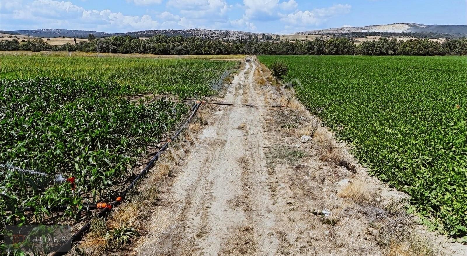 Bozüyük Kandilli Köyü Satılık Tarla Bozüyük Kandilli'de 6095 M2 Yola Cephe Sulak Tarla