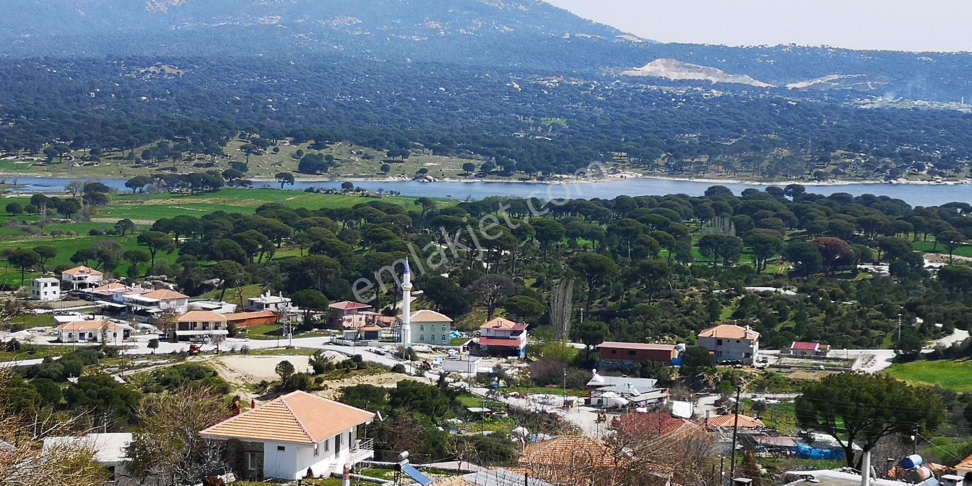 Milas Ortaköy Satılık Zeytinlik Milas Türbe Ortaköy'de Doğa Manzaralı 8.216 M² Satılık Arazi