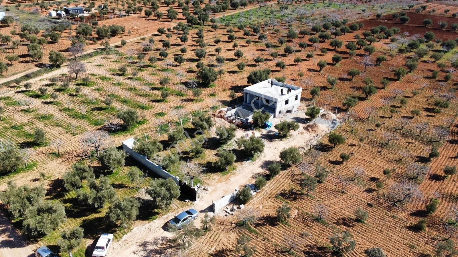 Oğuzeli Subaşı Satılık Müstakil Ev Oğuzeli Subaşı mah satlık 1116 mk bağ evi komle yapılıdır havuzludur