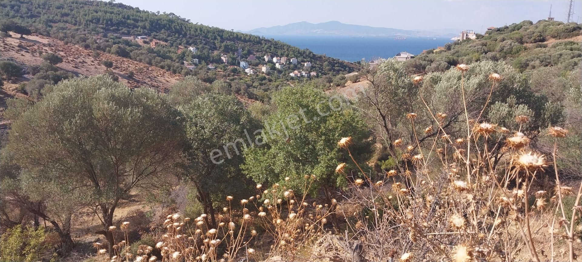 Rose Emlak 'tan Satılık Müstakil Villa Arsası - Görsel 3