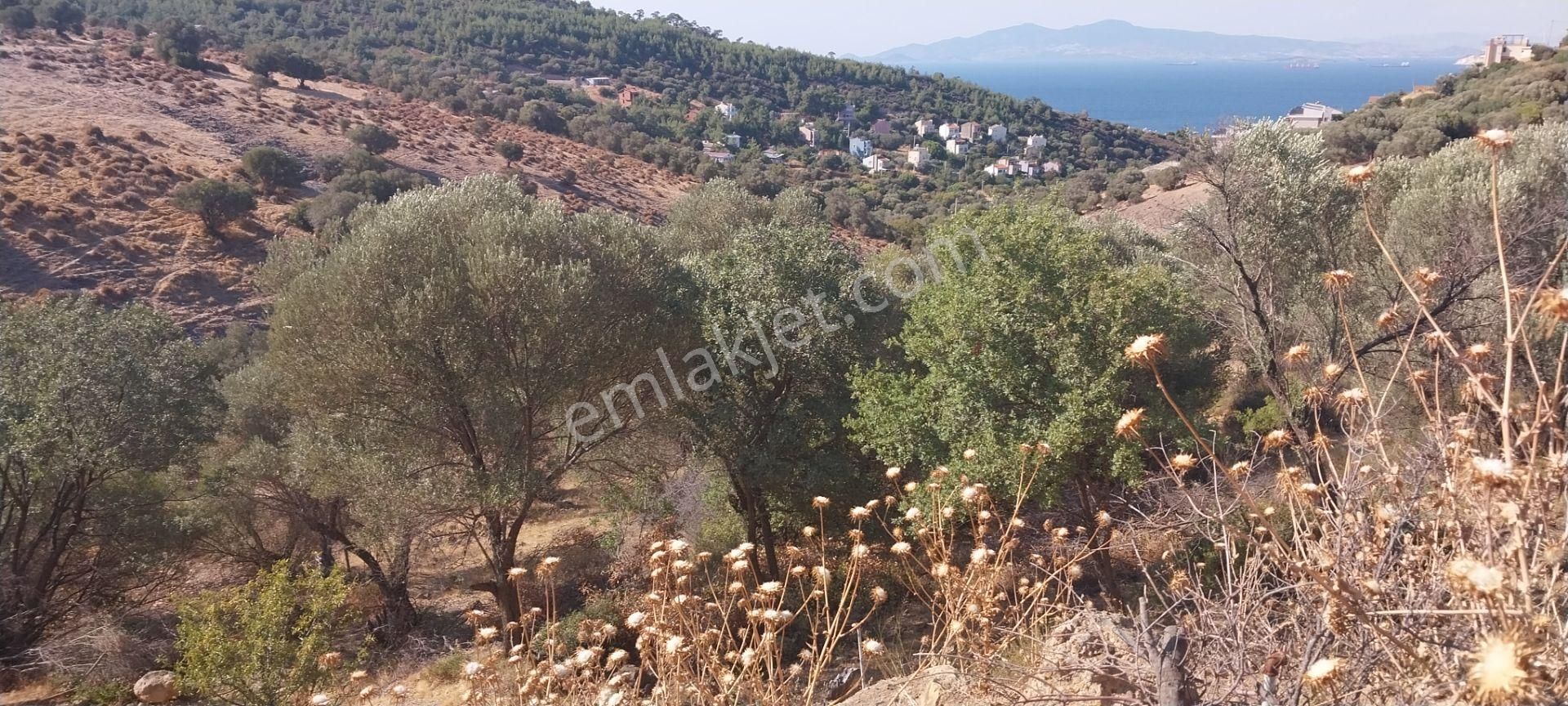 Rose Emlak 'tan Satılık Müstakil Villa Arsası - Görsel 4