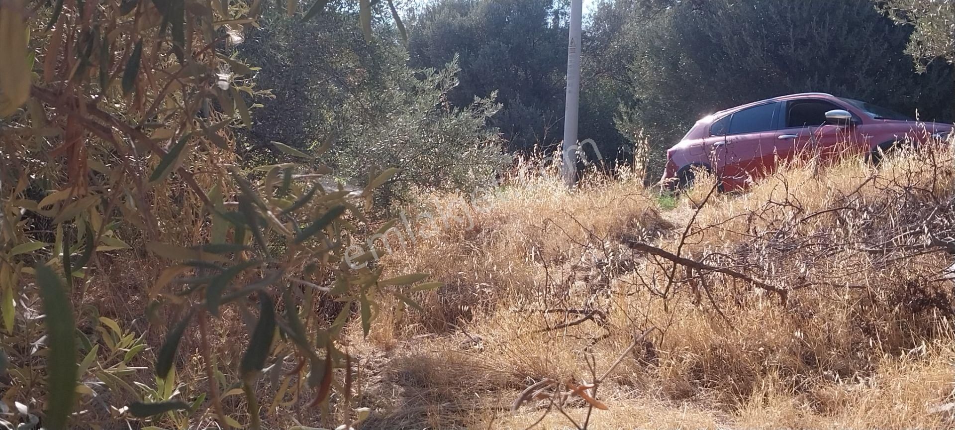 Rose Emlak'tan Satılık Müstakil Villa Arsası - Görsel 7