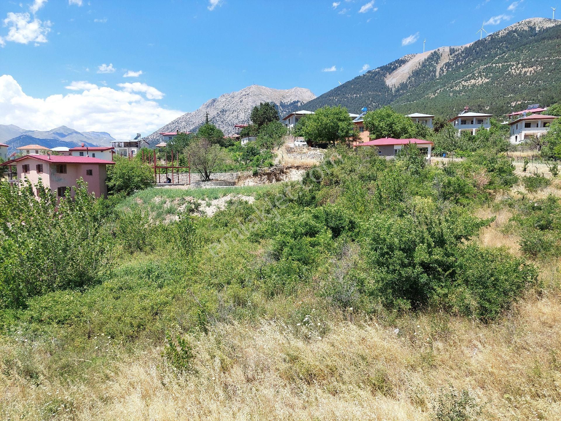 Pozantı Fındıklı Satılık Bağ & Bahçe POZANTI FINDIKLI TEK TAPU ÇAMARDI YOL ÜZERİ KIYMETLİ YERDE