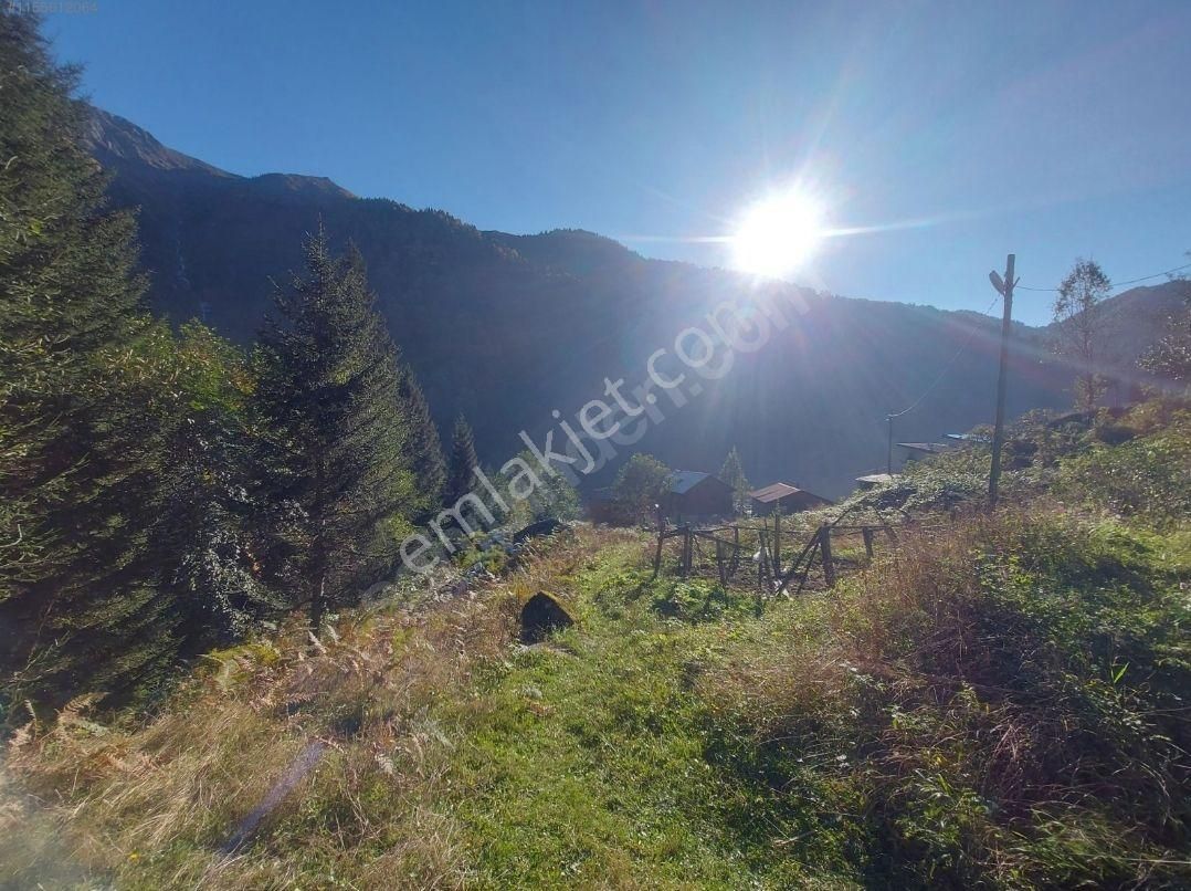 Ayder Yaylasında Yatırım İçin Uygun Arsa - Görsel 8