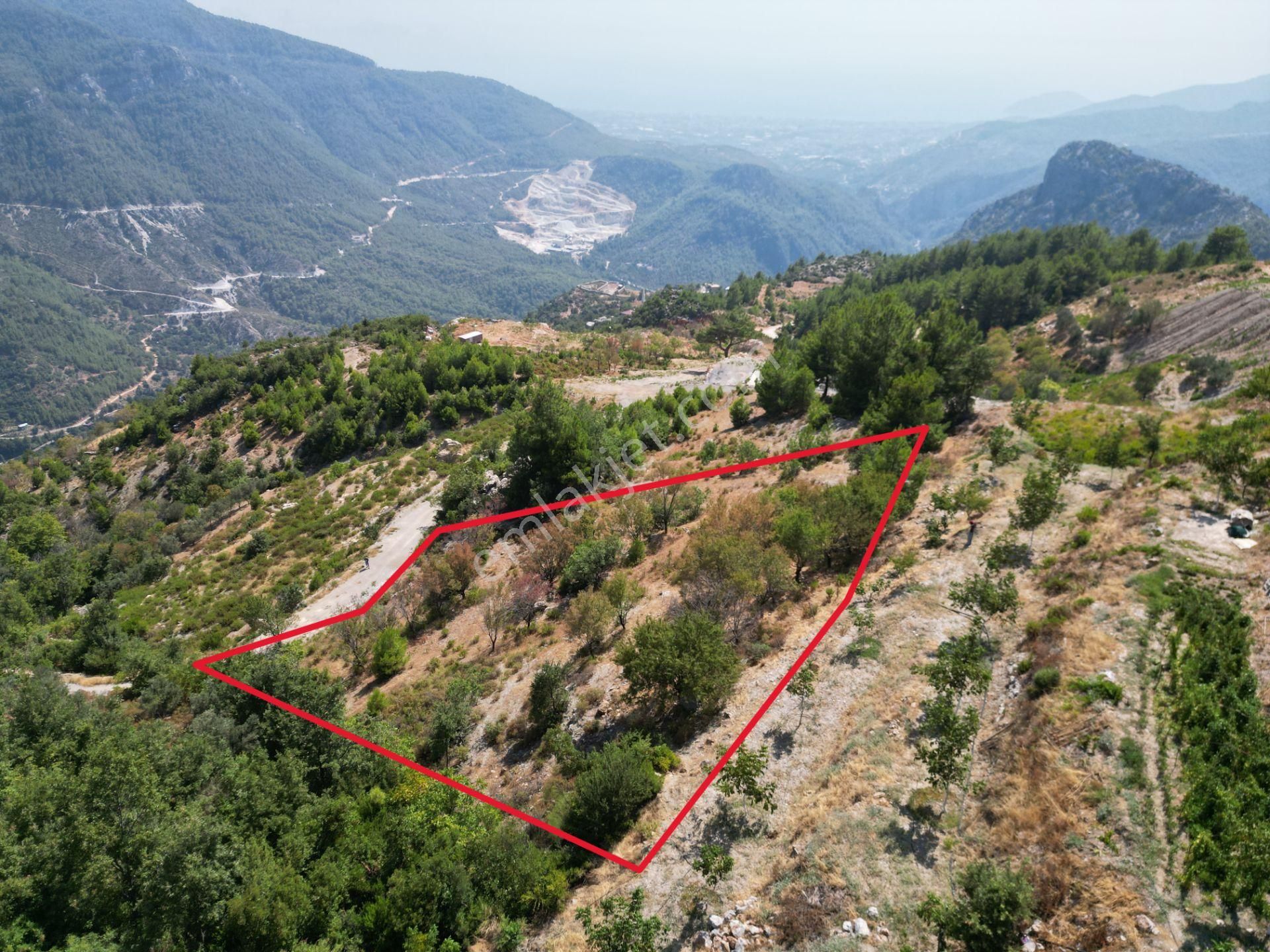 Bademağacı Mah. Deniz Ve Doğa Manzaralı Satılık 2190 M2 Tarla - Görsel 3