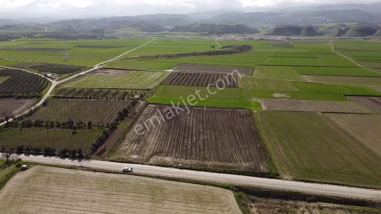 Sarayköy Tırkaz Satılık Tarla ROTA'DAN ACİL FİYAT DÜŞTÜ! SARAYKÖY TIRKAZDA ANA YOL ÜZERİ TARLA