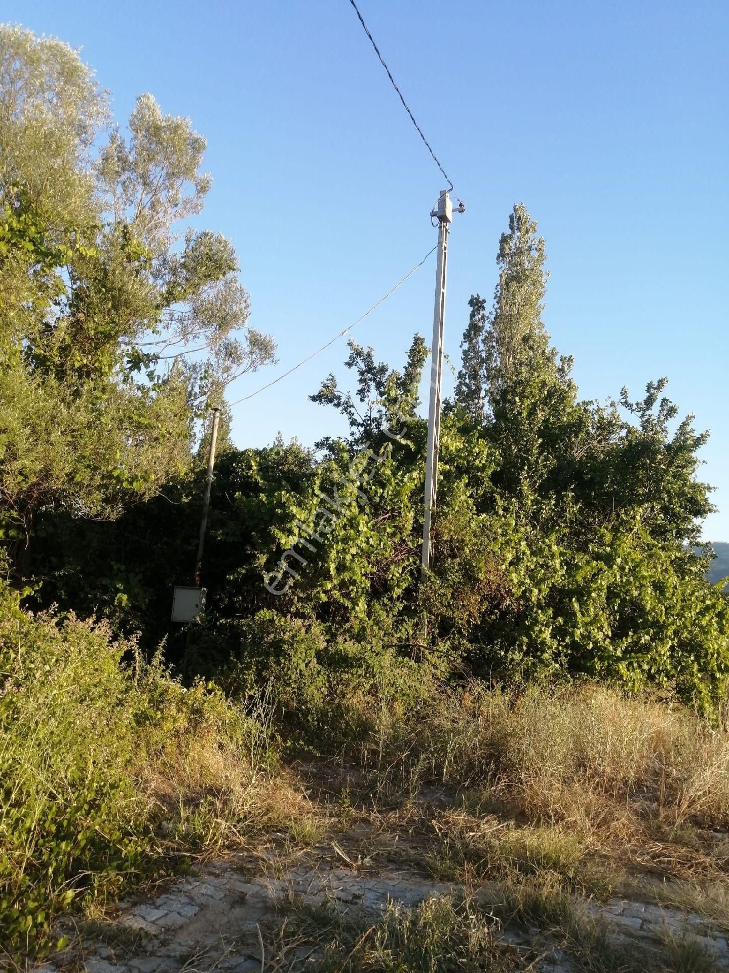 Reis Yoluna Sıfır 3500 M² Bahçe Özçelebi Emlak'tan - Görsel 3