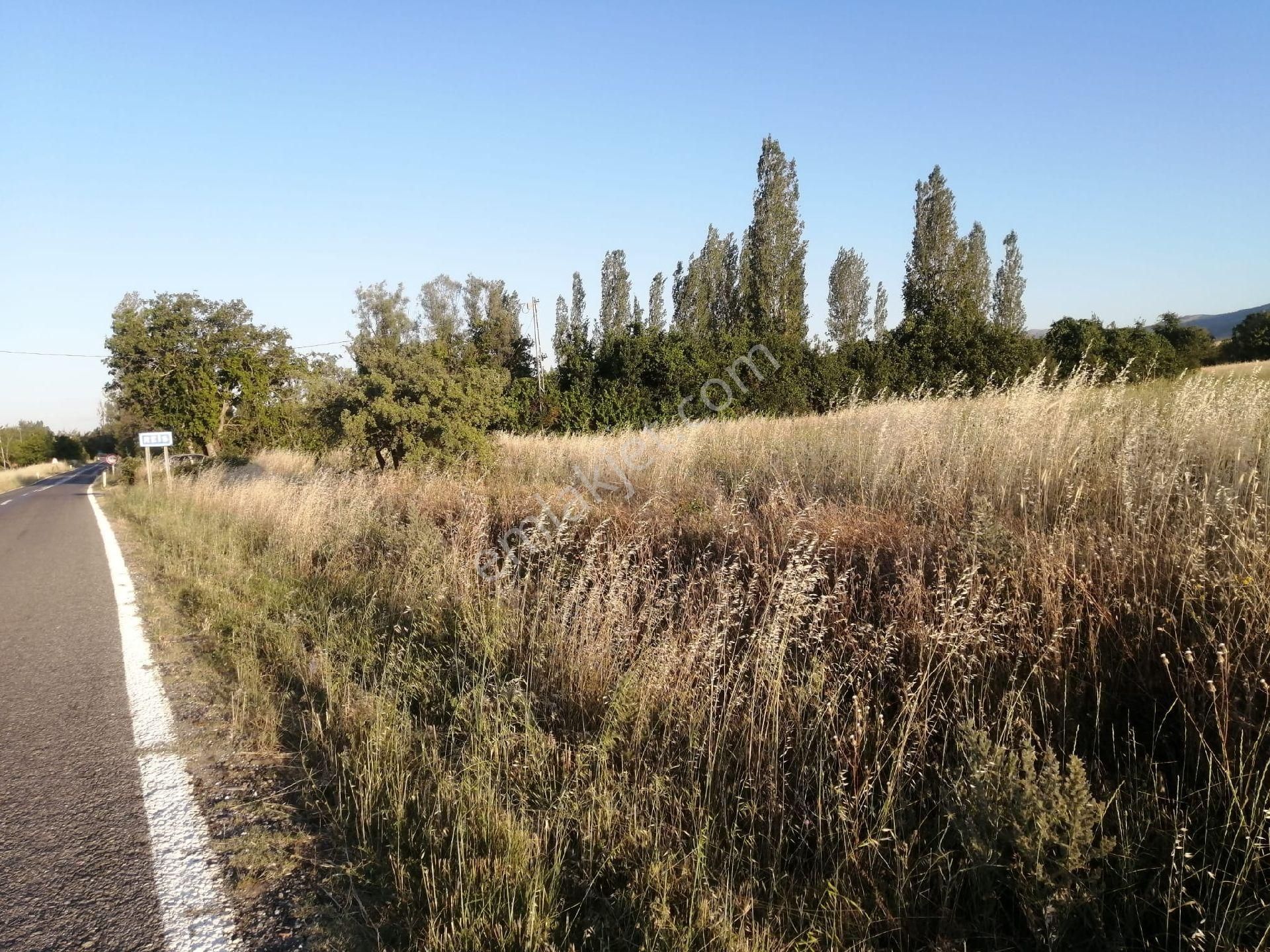 Reis Yoluna Sıfır 3500 M² Bahçe Özçelebi Emlak'tan - Görsel 5