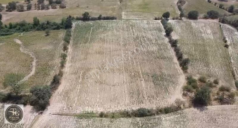 Kırklareli Merkez Üsküp Bld. (Mehmet Çavuş) Satılık Tarla Üsküp Cevatpaşa Mahallesinde 4.172 M2 Satılık Arazi