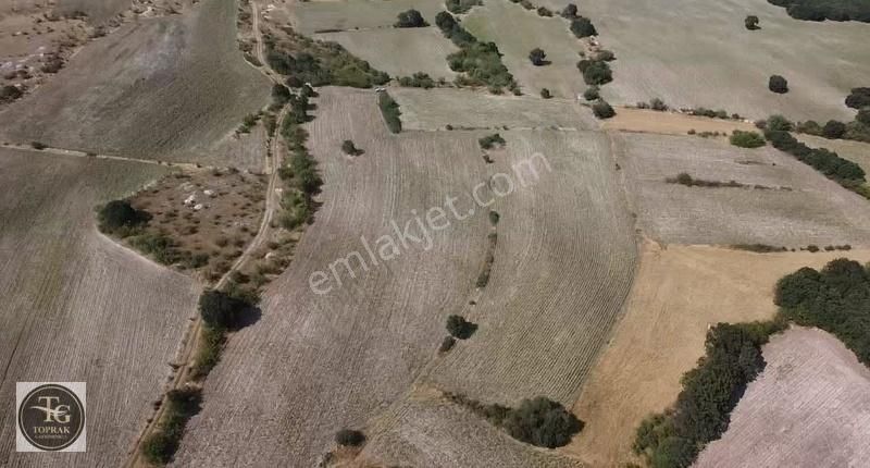 Kırklareli Merkez Üsküp Bld. (Mehmet Çavuş) Satılık Tarla Üsküp Gündoğdu'da 13.567 M2 Arazi