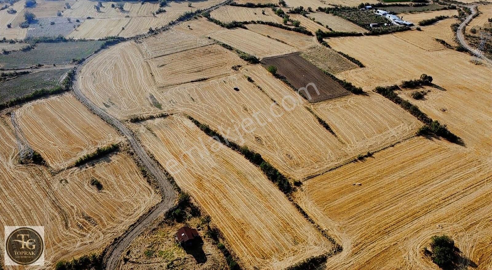 Kırklareli Merkez Üsküp Bld. (Cevat Paşa) Satılık Tarla Üsküp Cevatpaşa'da 2.207 M2 Satılık Kelepir Arazi Yetişen Alıyor