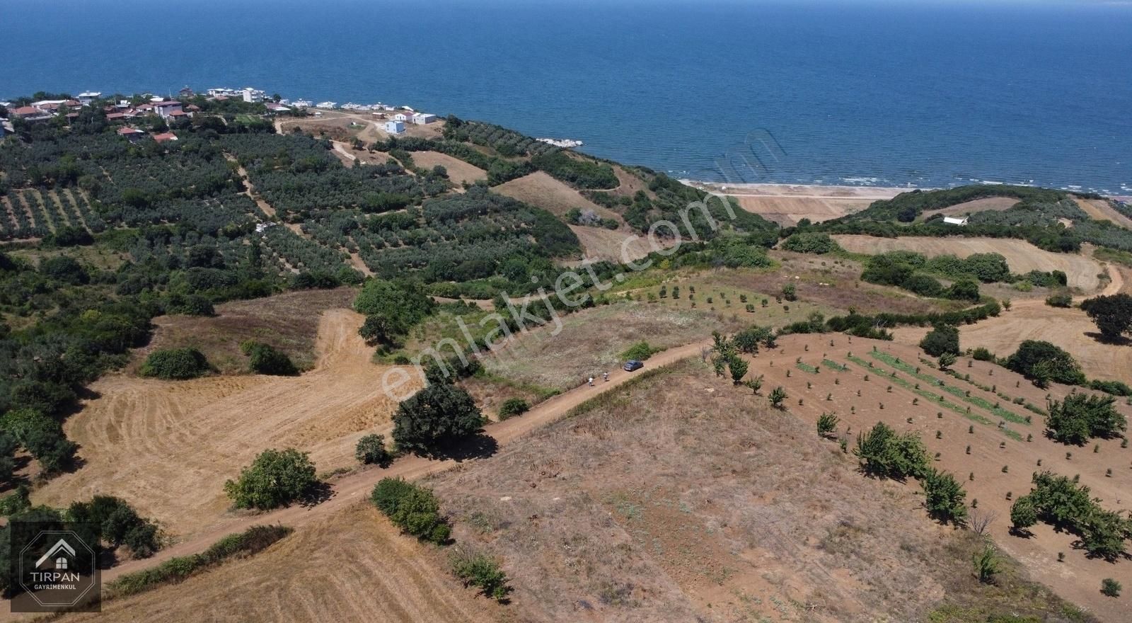 Mudanya Eğerce Satılık Tarla Tırpan Gayrimenkulden Eğerce 2800m2 Fırsat Tarla!!!