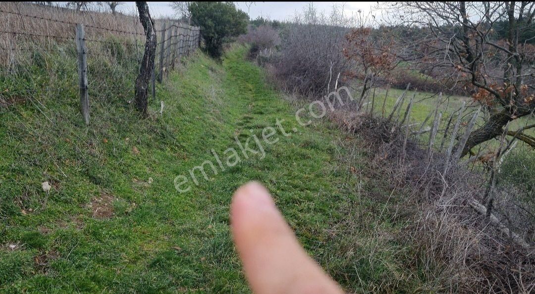 Kazdağları Eteklerinde Çanakkale Bayramiç Müstakil İmarlı Arsa - Görsel 4