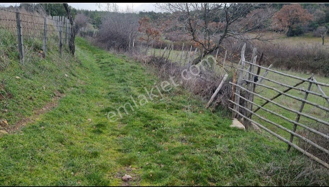 Kazdağları Eteklerinde Çanakkale Bayramiç Müstakil İmarlı Arsa - Görsel 5