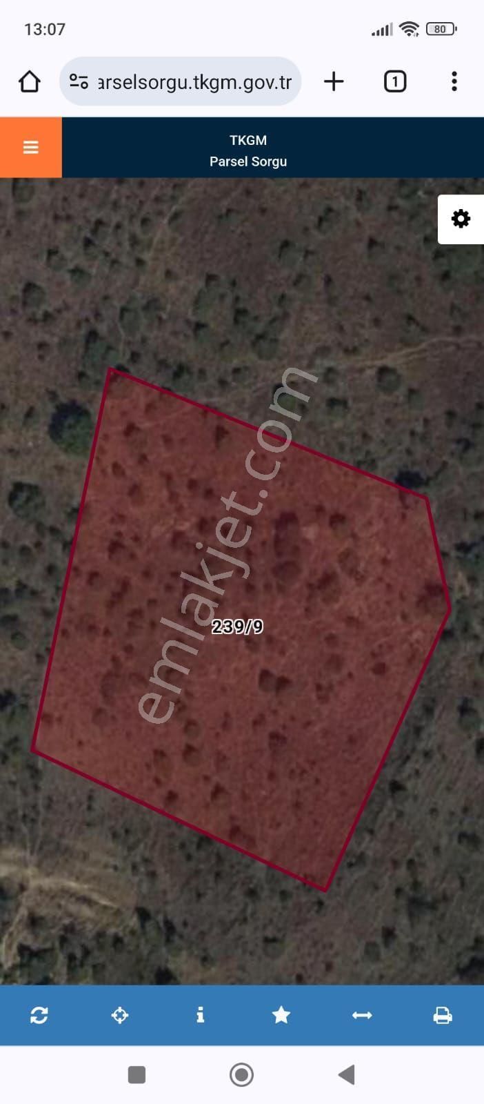 Murat Emlaktan Saray Da Toplam 14,437m2 Satılık Tarla