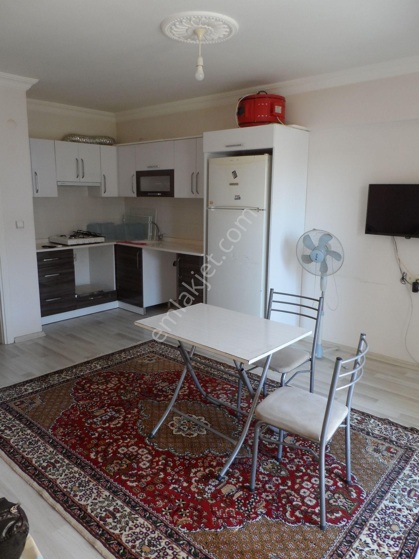 Nazilli Ege Emlak Ofisinden Çapahasan Mah.1+1, Klimalı, Eşyalı Kiralık Daire - Görsel 10