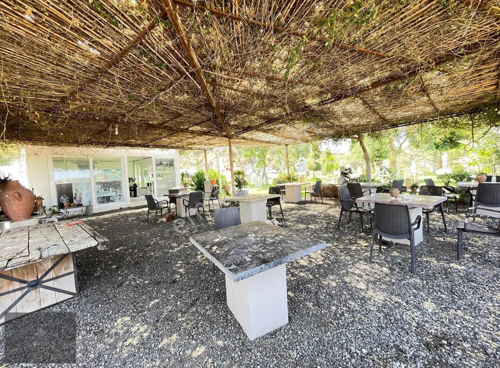 Bodrum Yalıkavak'ta Ana Yola Sıfır Devren Kiralık İşyeri - Görsel 17