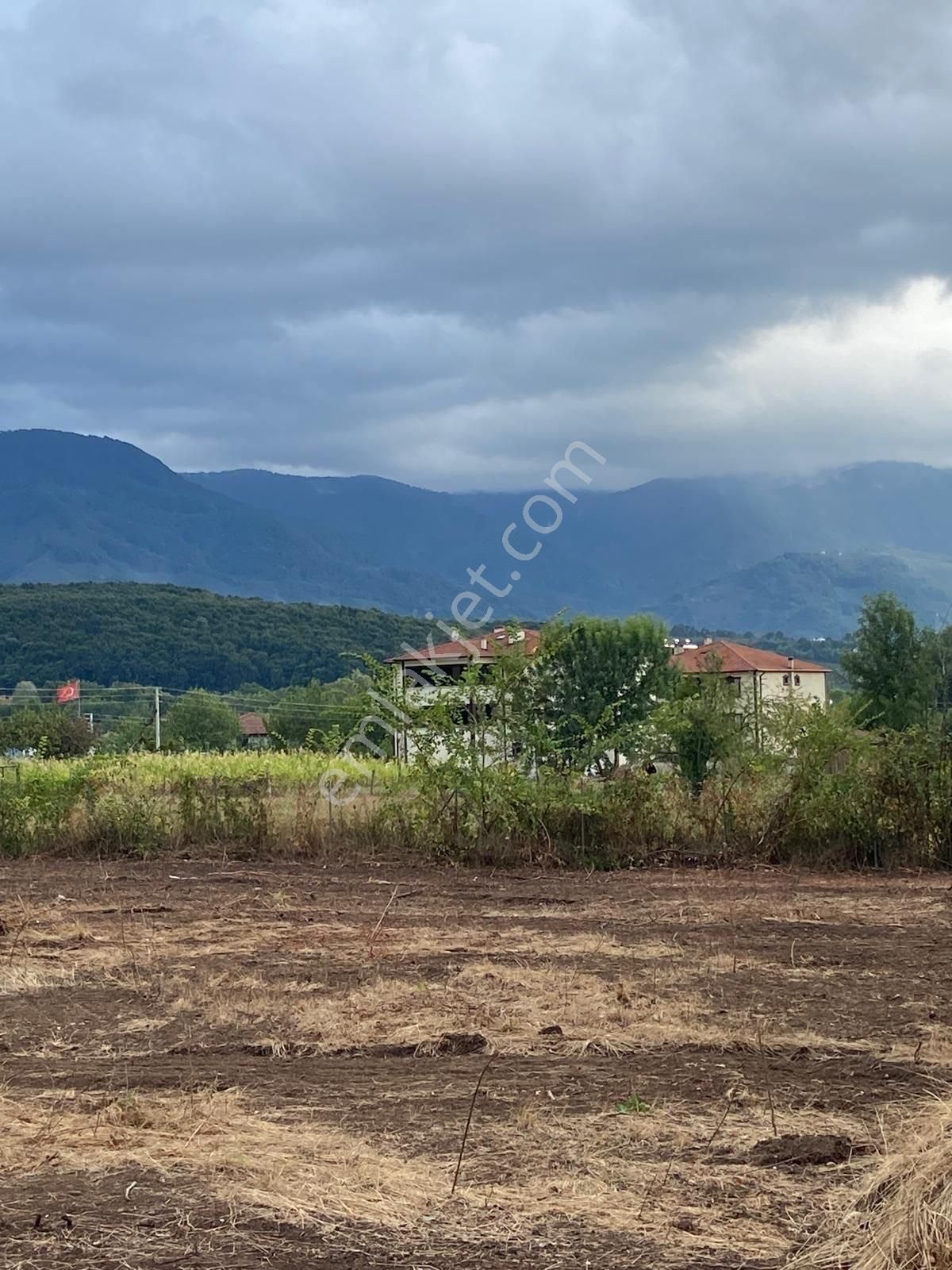 Akyazı Kuzuluk Ortamahalle Satılık Bağ & Bahçe Kuzulukta Süper Konumda